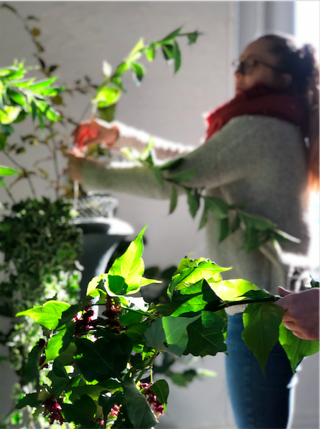 Screen Shot 2020-01-07 at 13.51.31.png