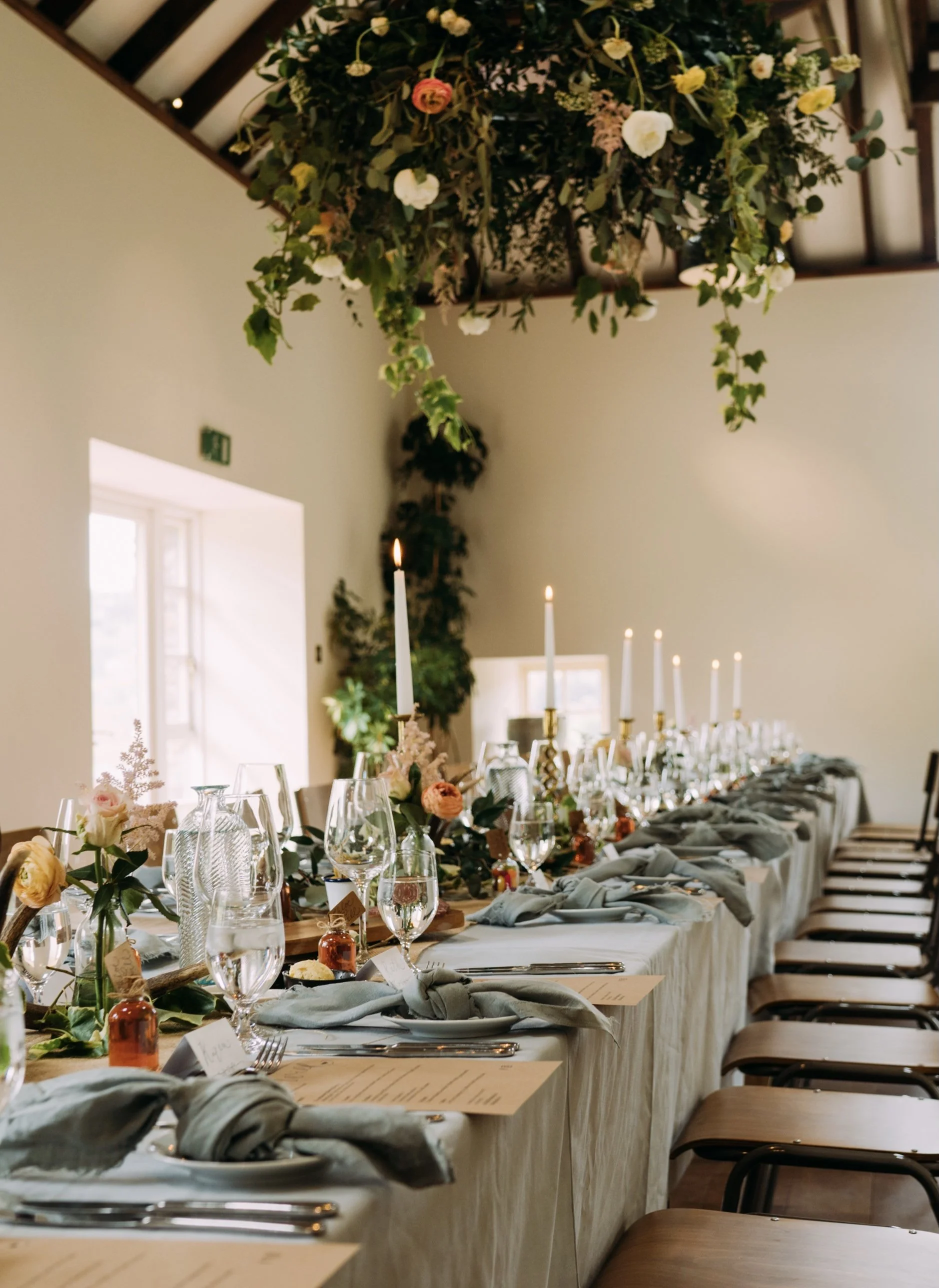 Job-Verbena Flowers2.jpeg