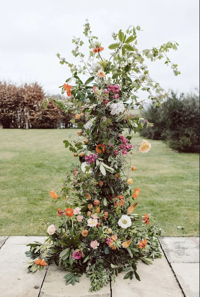 Job-Verbena Flowers5.jpeg