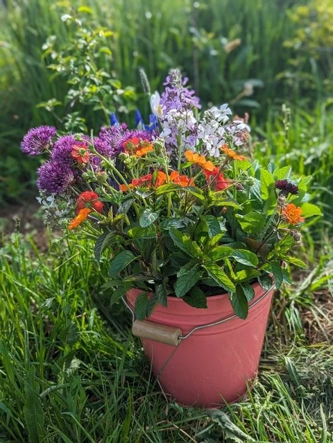 north_flower_.jpeg