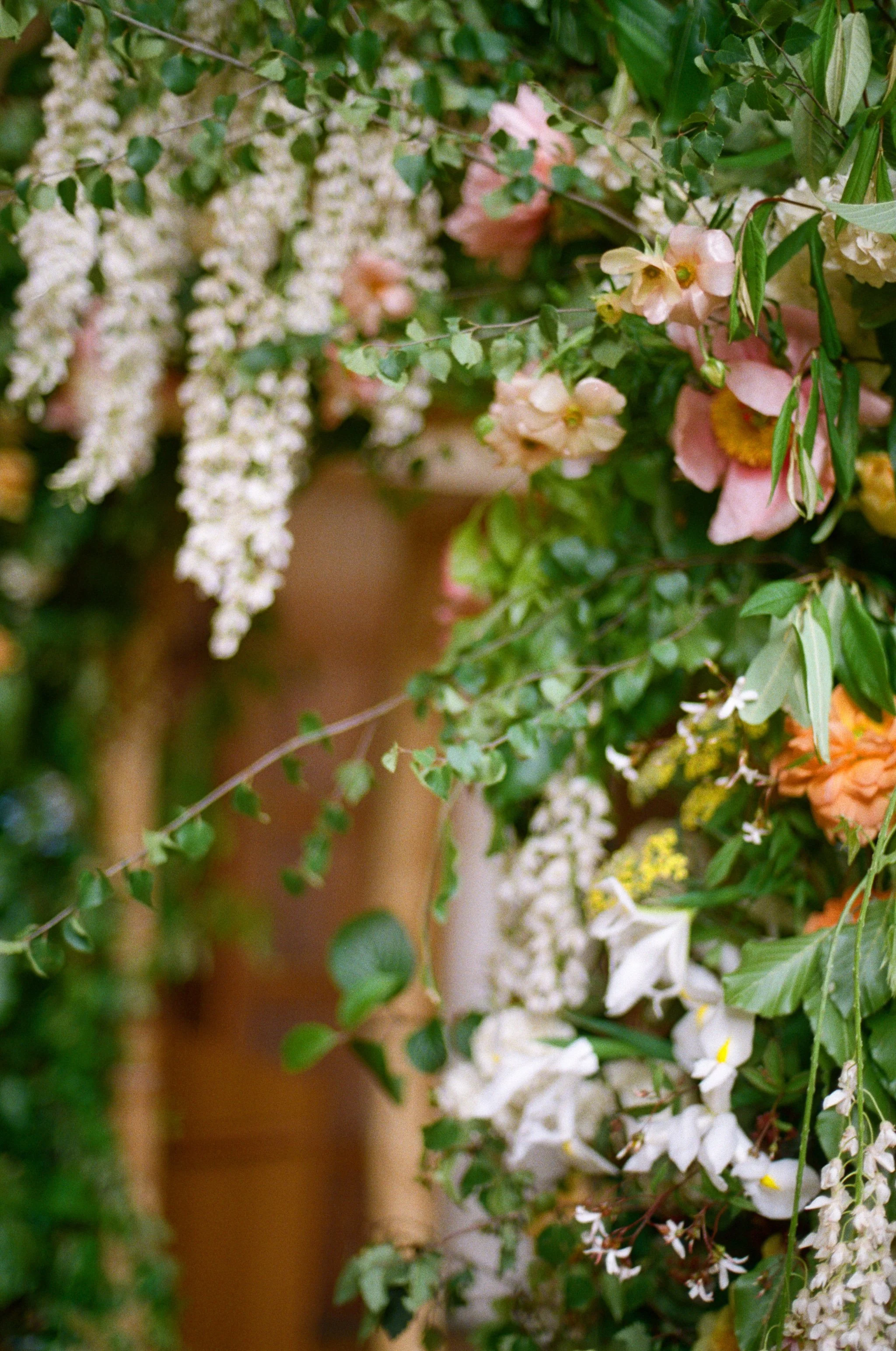 job - Goldstones Flowers 2.jpeg