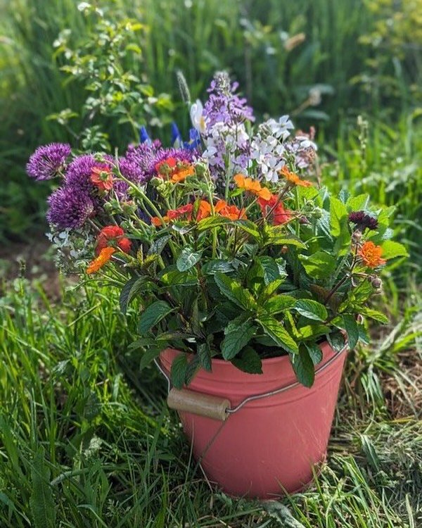 We love seeing the appreciation for British flowers again this week. Aren&rsquo;t we lucky to have so many wonderful growers in the UK?🙏

This week, we shared details from British flower growers Sarah and Ashley about the key considerations to keep 
