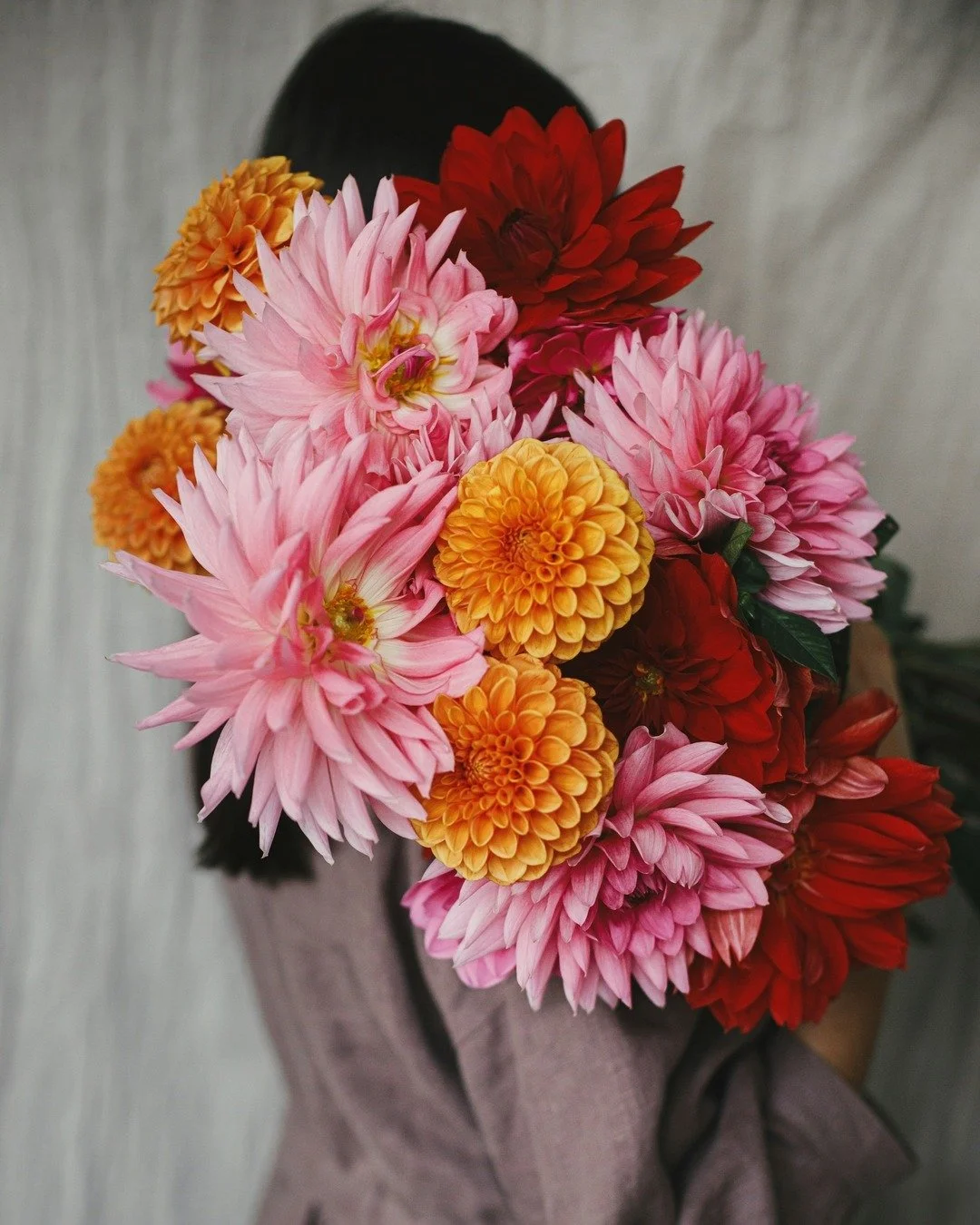 Dahlia love ✨ Just the punch of colour we need as the season shifts and the palettes start to mellow.