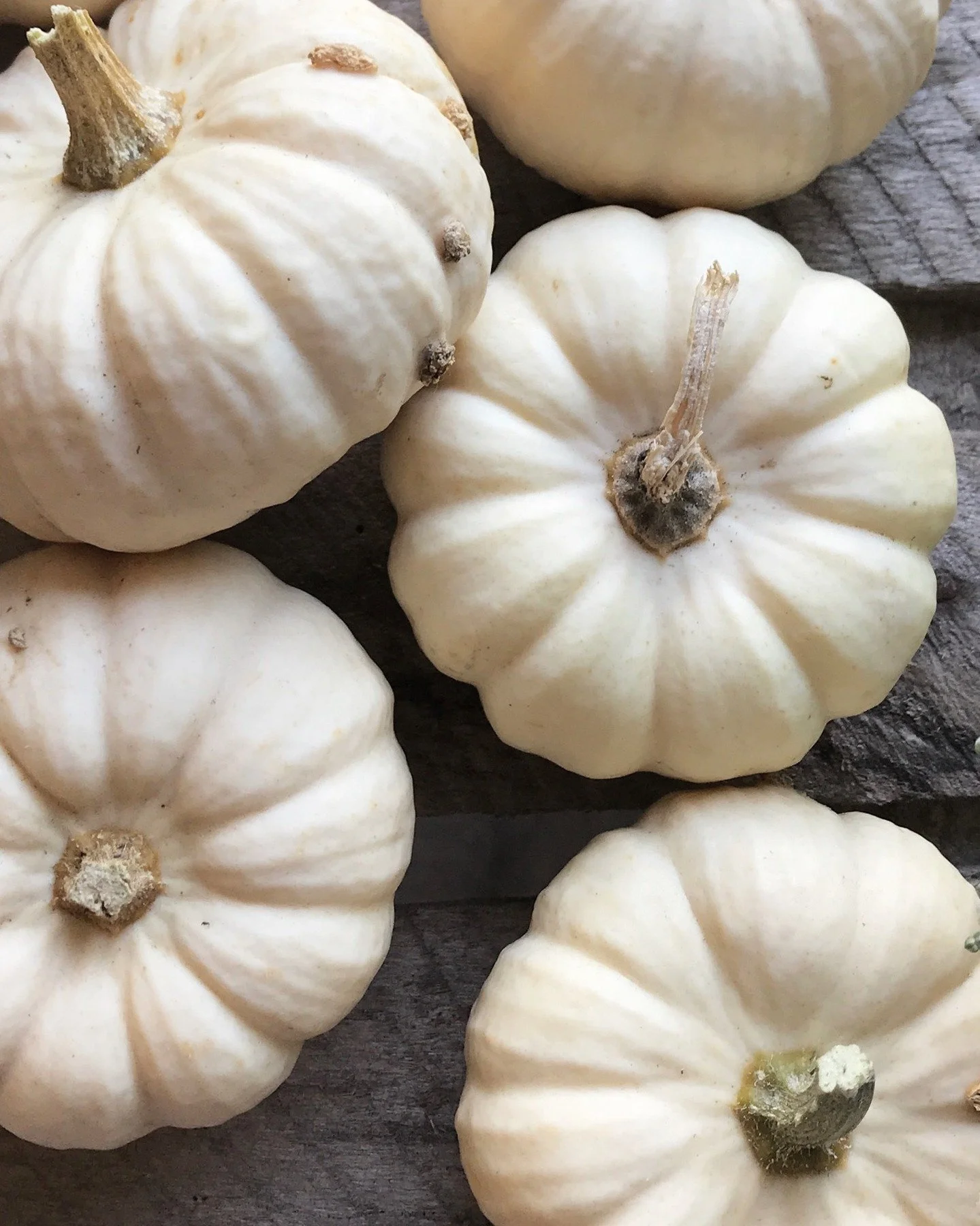 The Halloween fun begins! 🎃
Half-term here in Derbyshire. Cheers to all the parents doing the half-term juggle (with a coffee in hand, hopefully!) ☕🧡