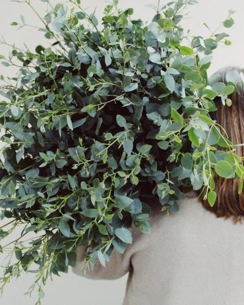 Is anyone else obsessed with their foliage deliveries at this time of year? I absolutely love them! 
This gorgeous selection was from the fabulous @irishgreenguys 🌿