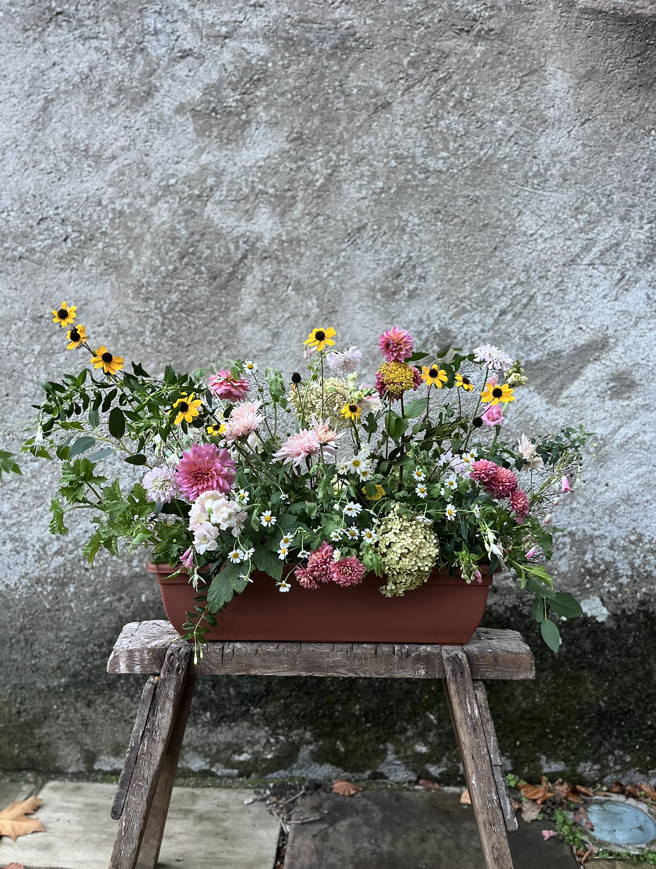 Screenshot 2026-01-16 at 18.51.56.png