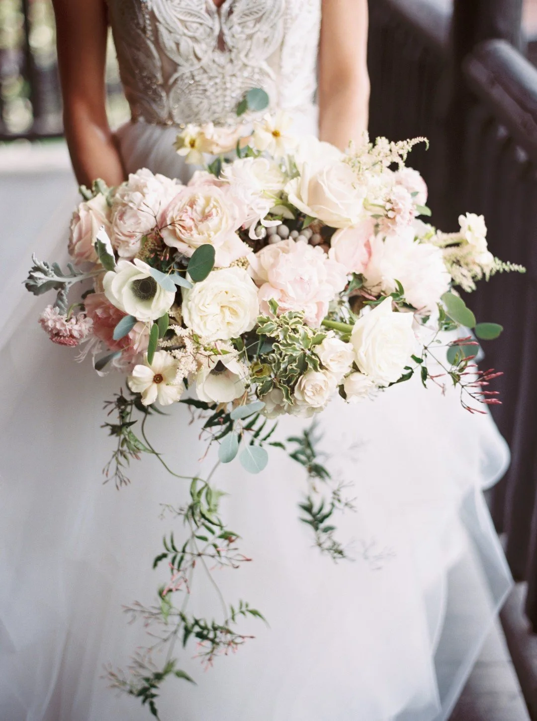 Elizabeth Hemphill 2.jpg