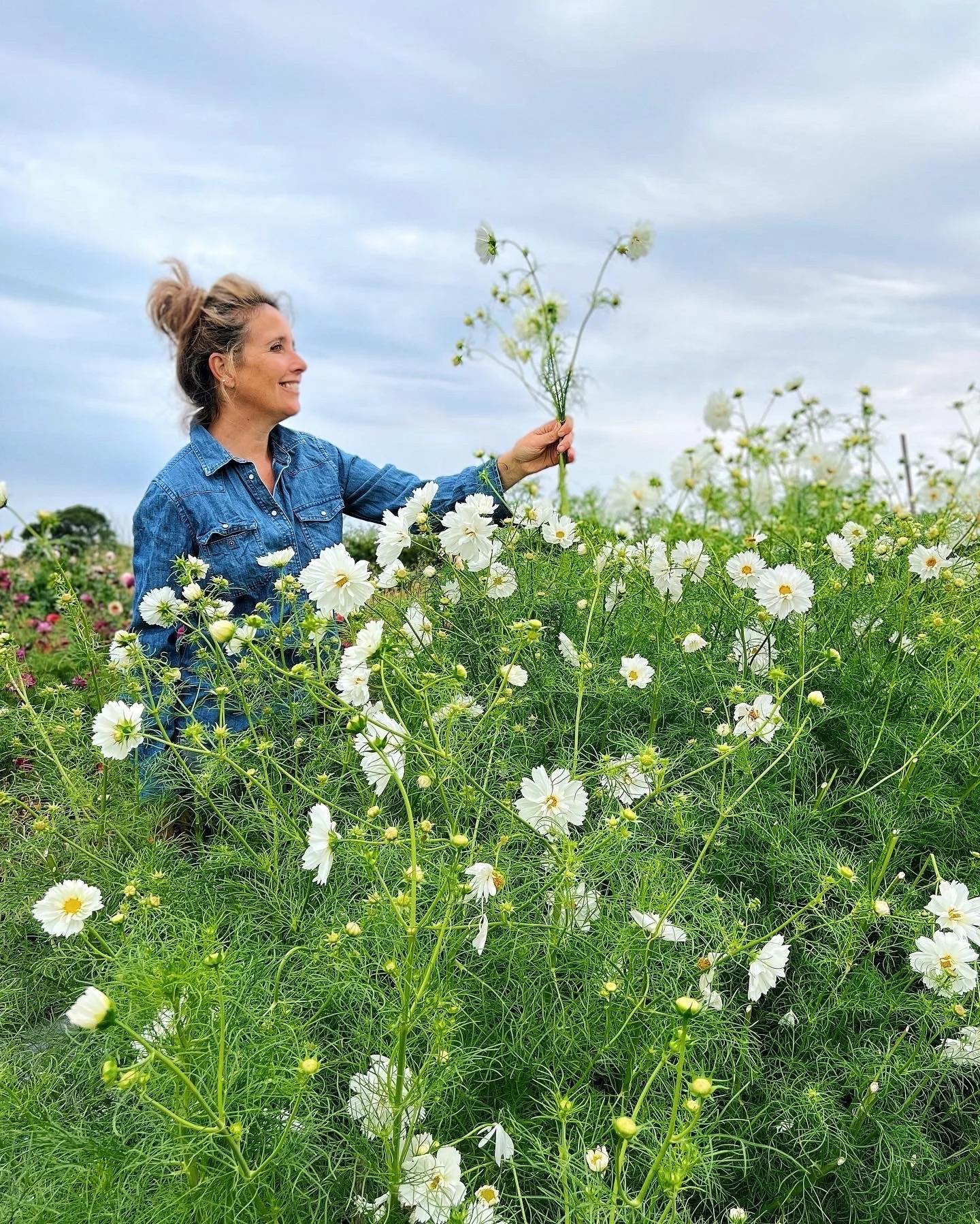 British Flower Grower - Howe Farm Flowers