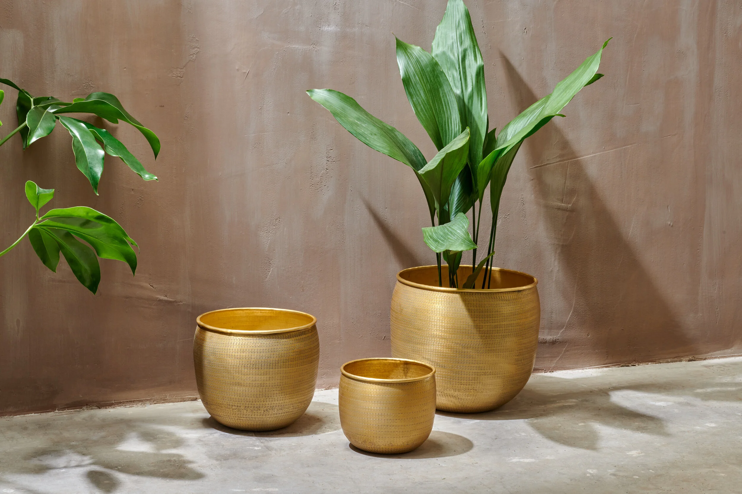 Tembesi Planter - Antique Brass (4).jpg
