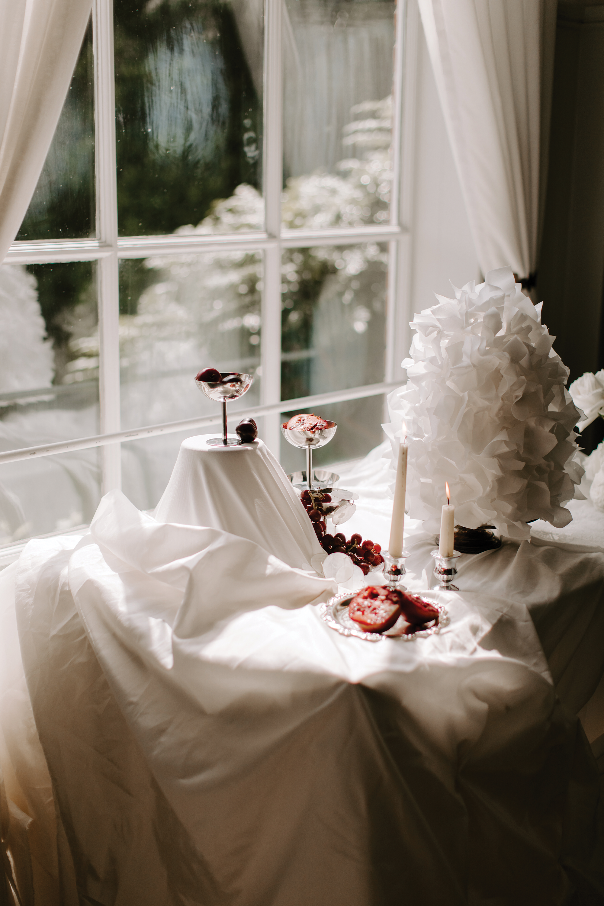 The Lane Imagery _ F&V_16 (1).png