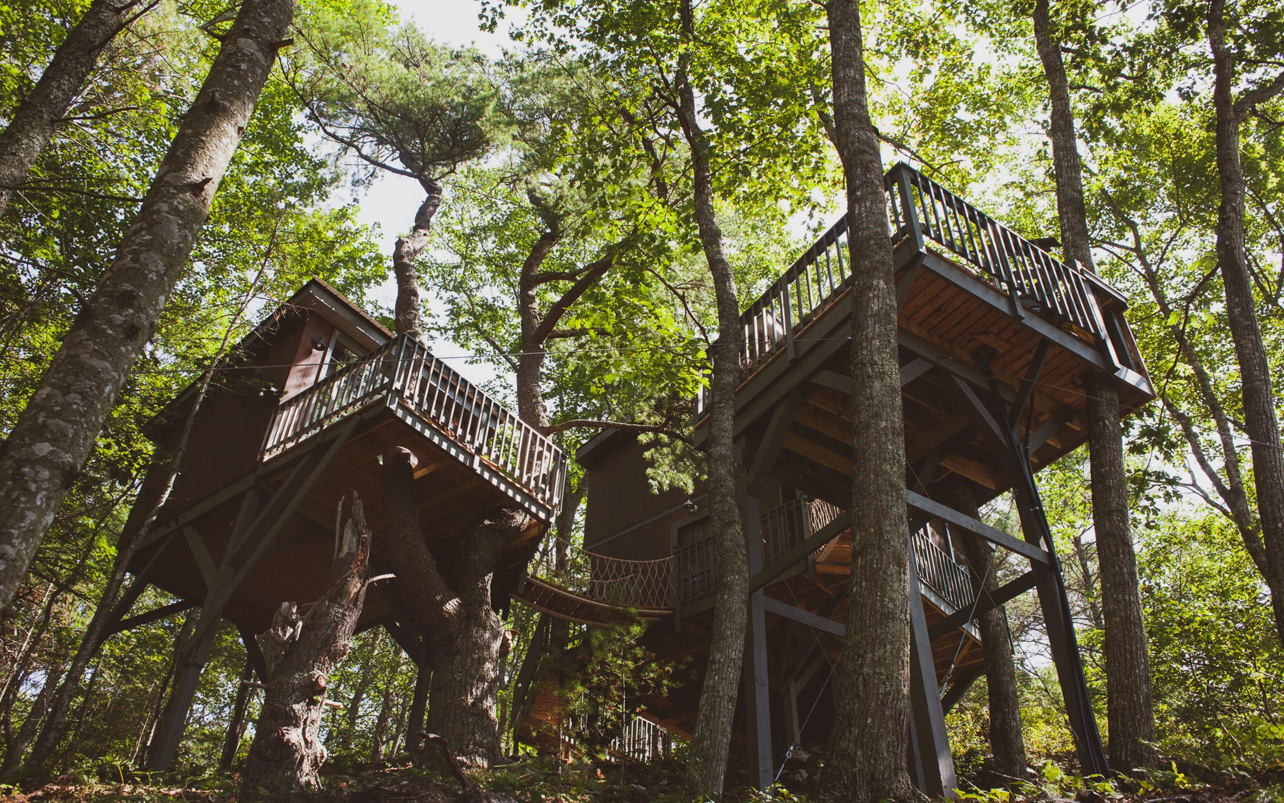 2 Bedroom Treehouse