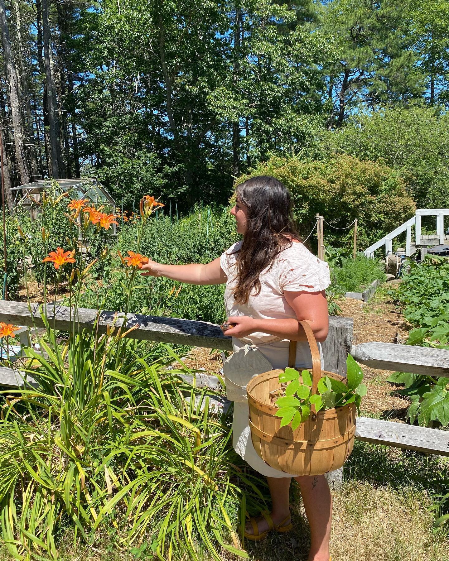 Thanks to @giantdaughter for helping us to identify the beauty and nourishment all around us during her plant walk and tasting at Seguinland. &ldquo;Something beautiful fills the mind yet invites the search for something beyond itself, something larg