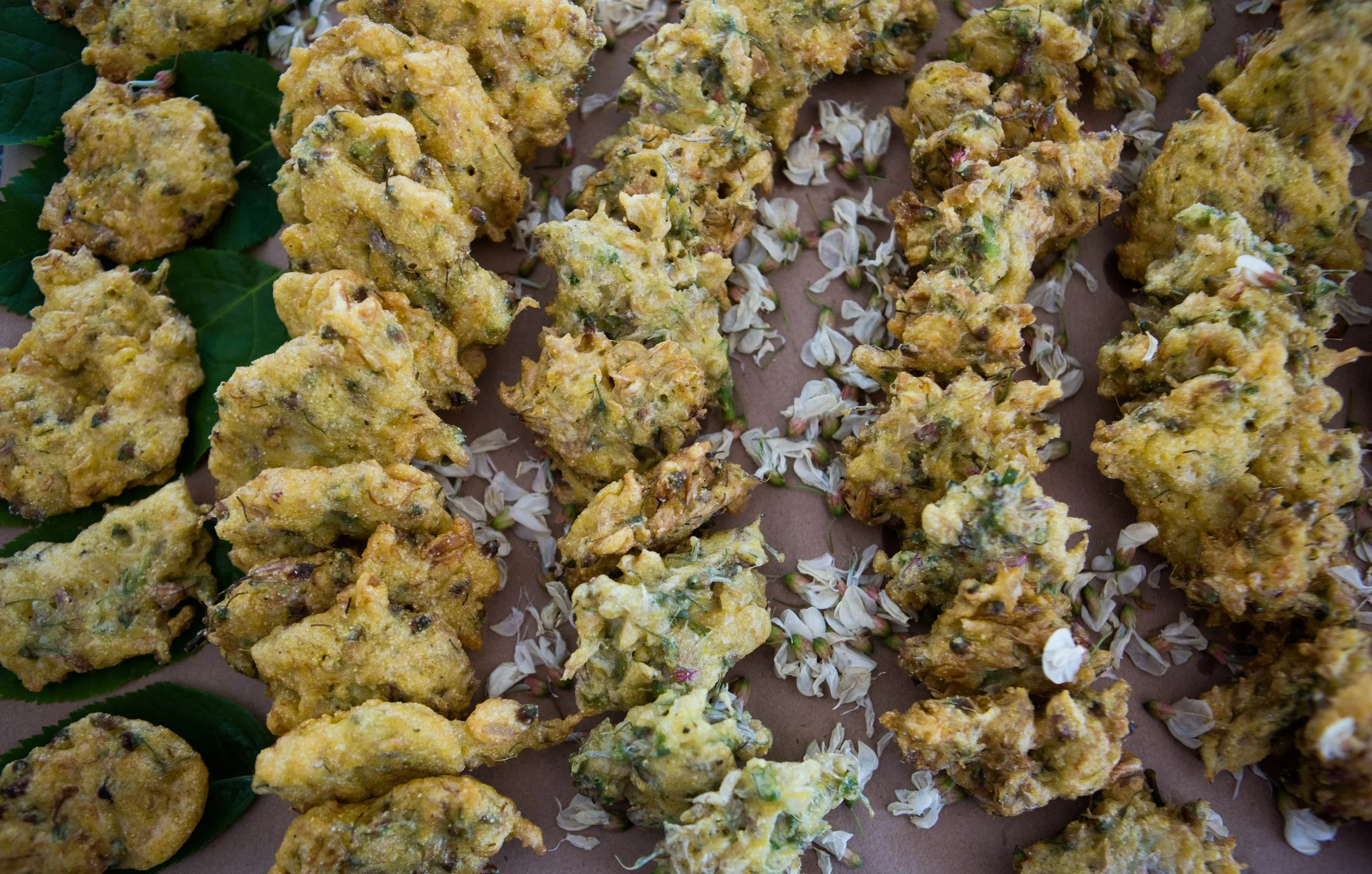 Foraged Feast — Seguinland Institute.
