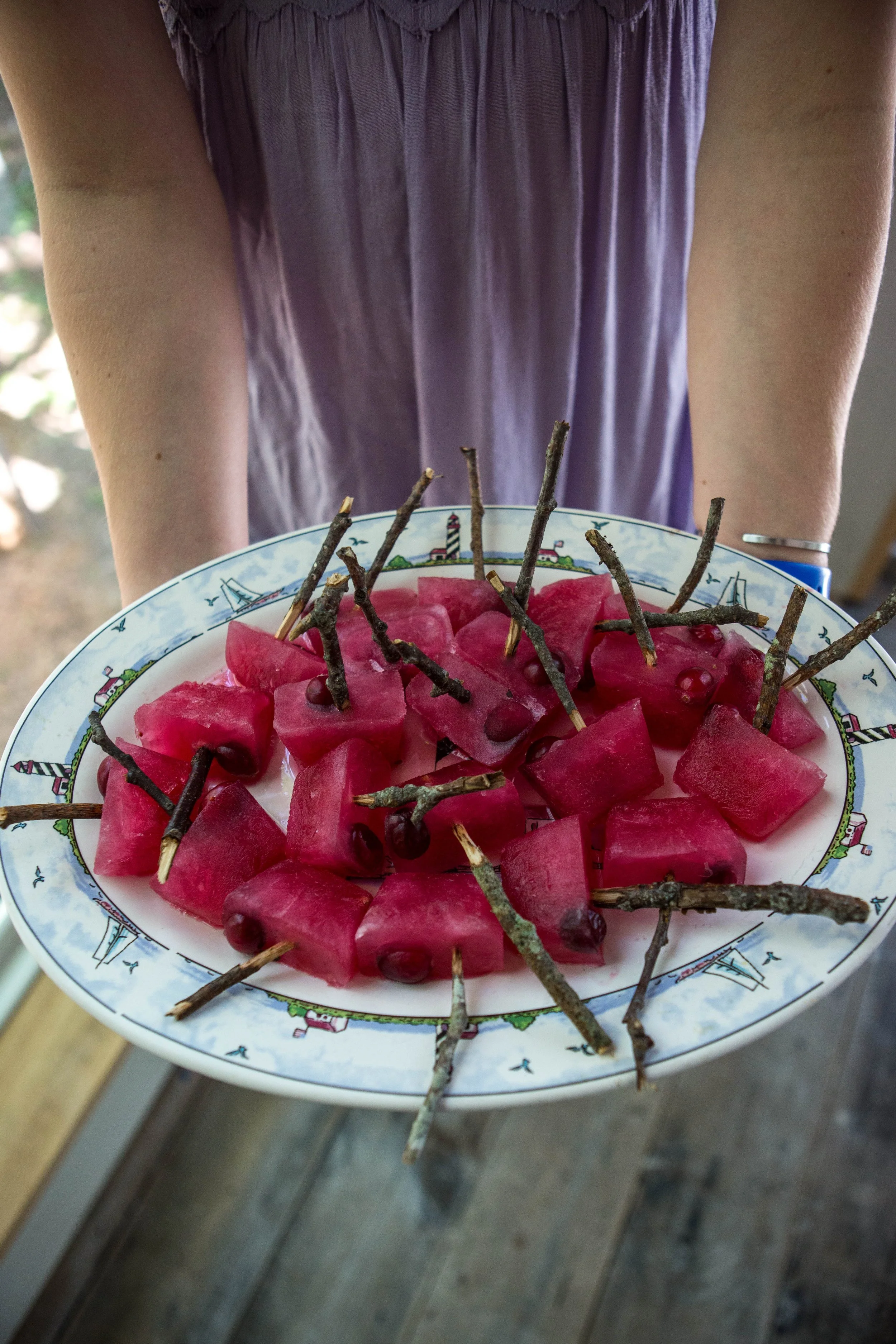 Foraged Feast — Seguinland Institute.