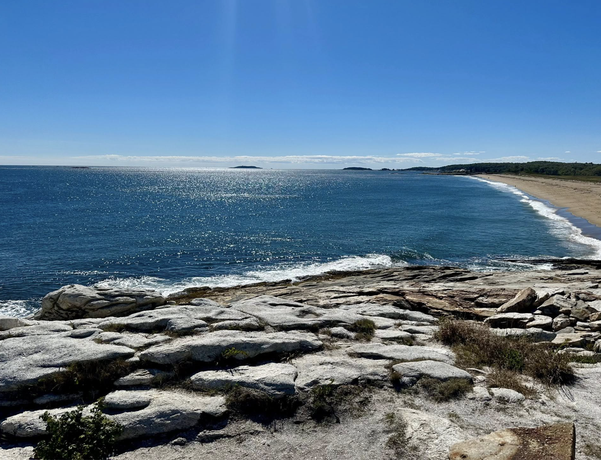 Screenshot 2026-03-03 at 2.50.34 PM.png