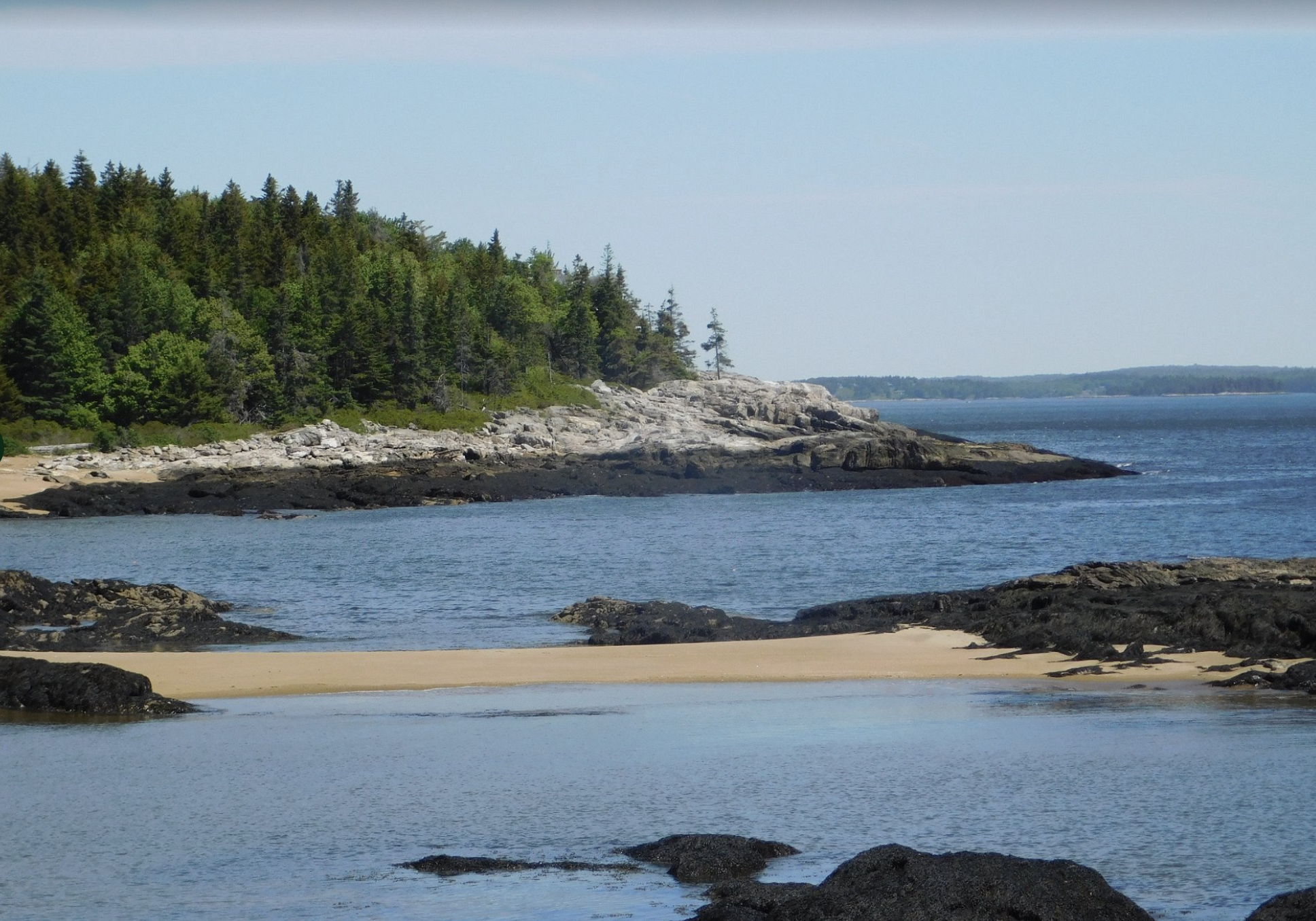 Screenshot 2026-03-03 at 2.55.57 PM.png