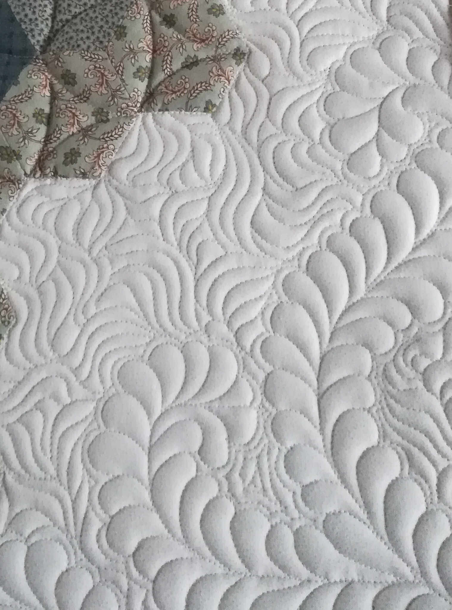 2018-01-30 08.35.10_crop_feathers_compressed.jpg