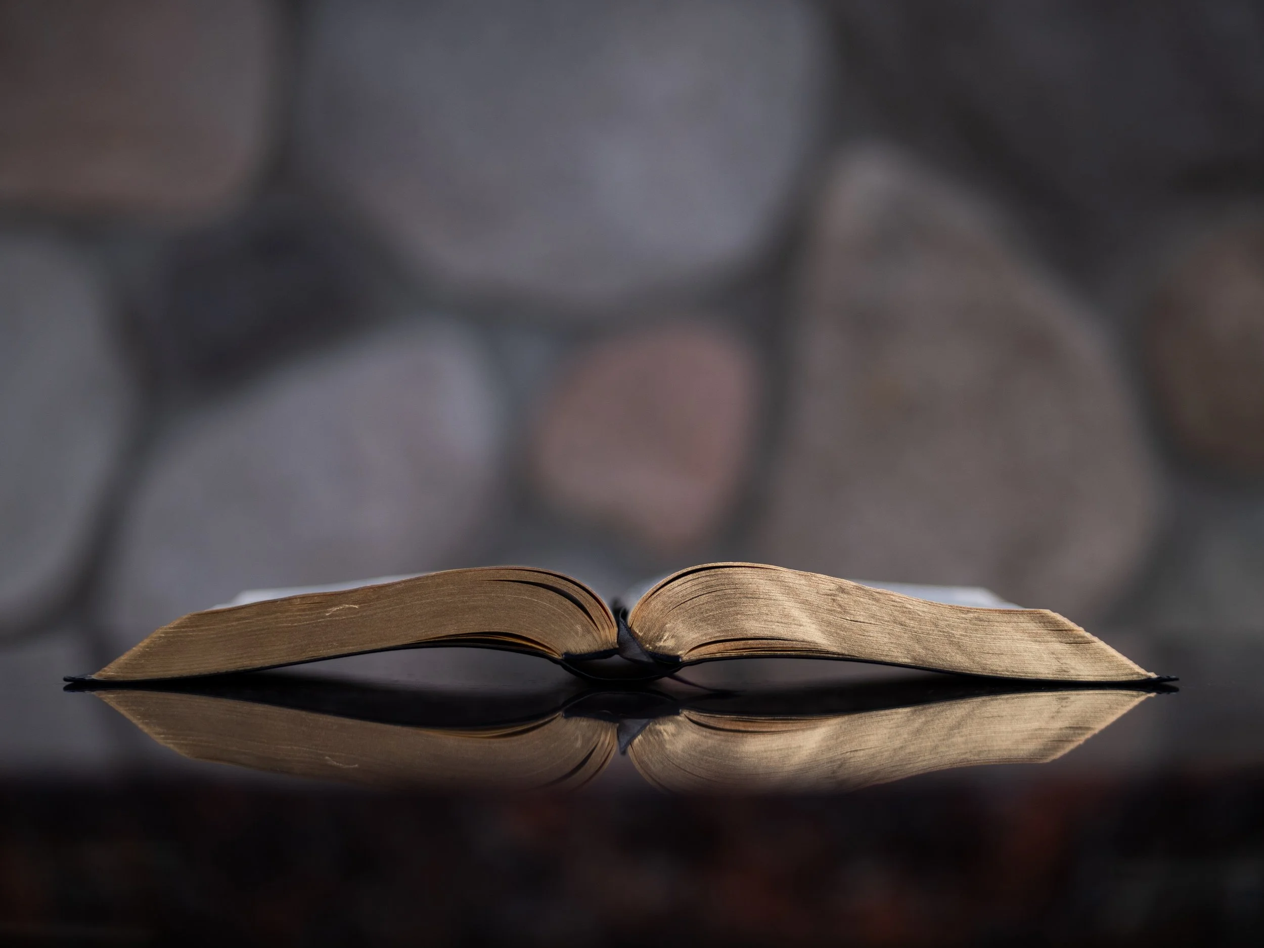Reading through the Bible in 2024