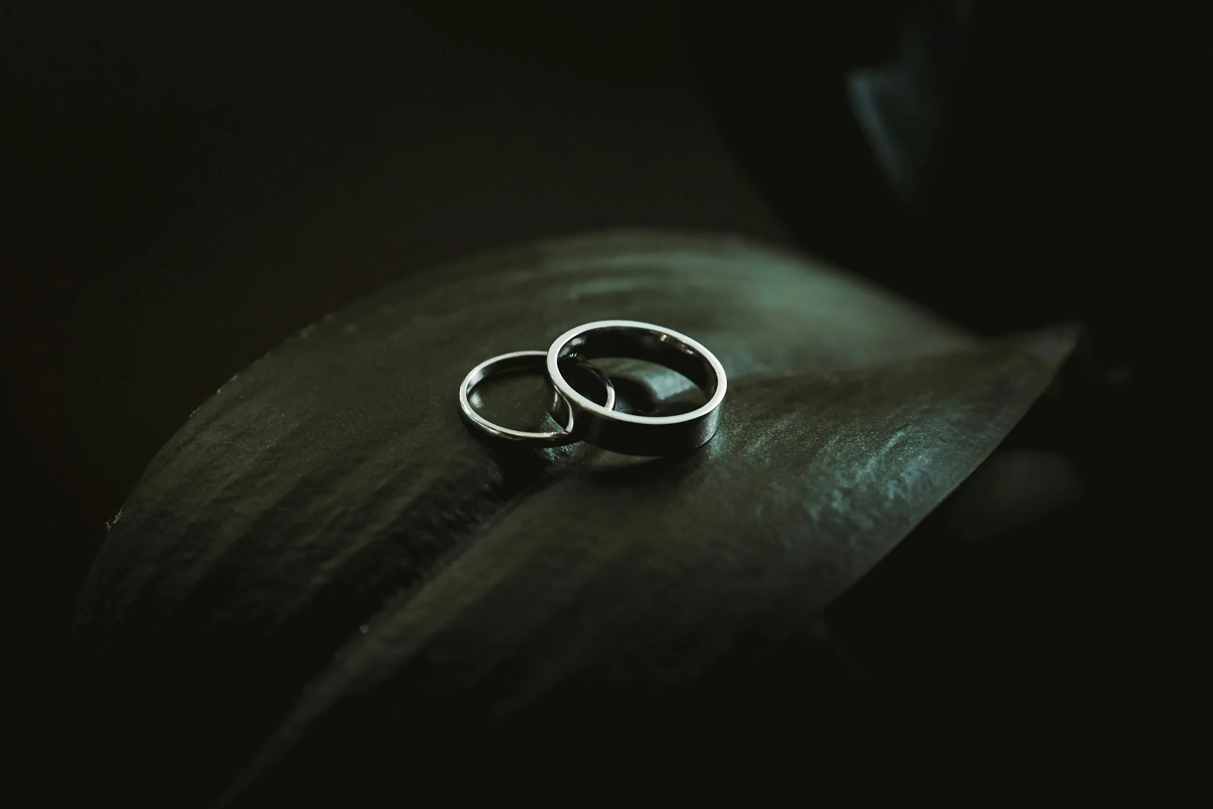 Is male headship in marriage a dangerous idea?