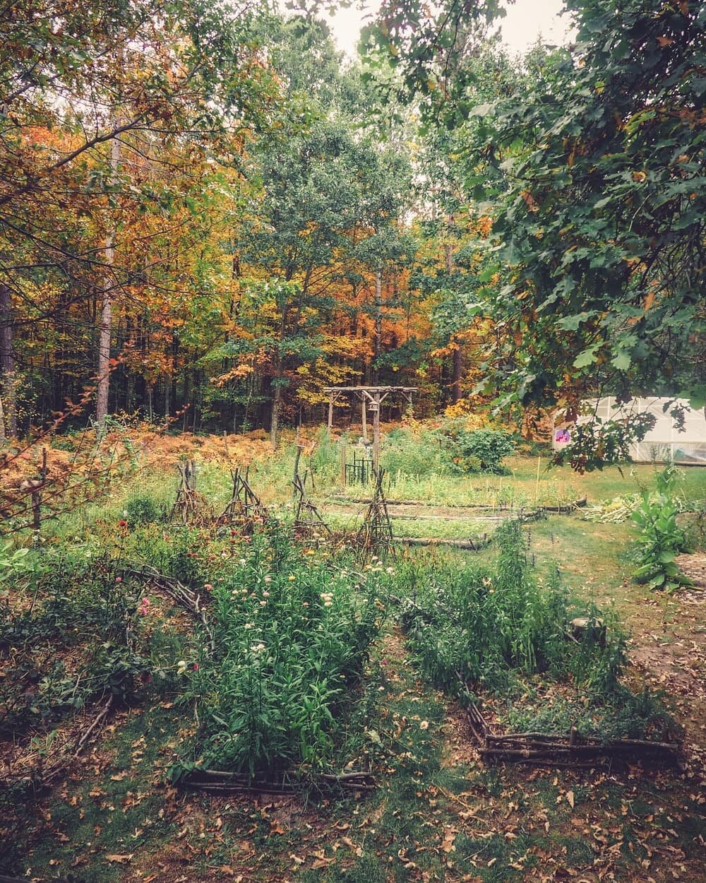 Woodspell is MOVING! The first reaction I get to this is disbelief. How could we want to leave this little slice of heaven?

My answer is that you can make magic anywhere. I've lived a lot of places and I've found the most magical wild rose patches i