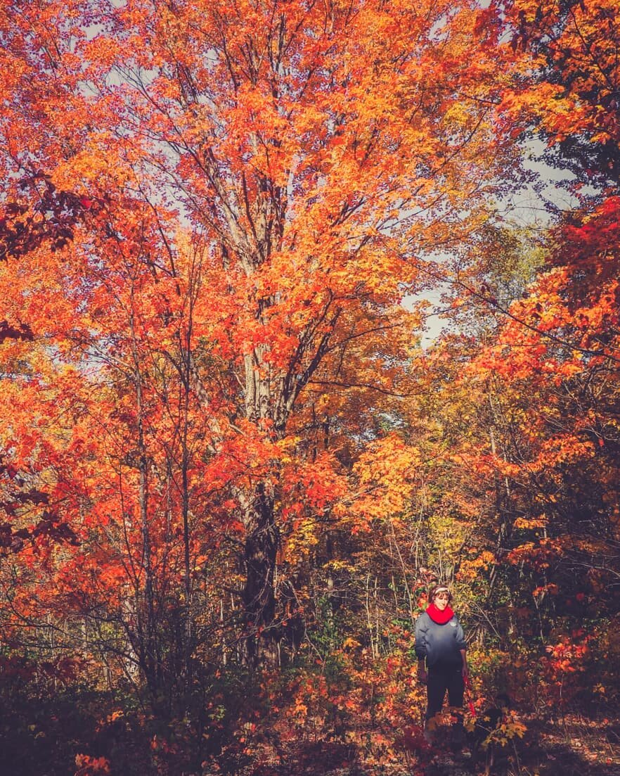 I think you know you're a crazy plant person { if you didn't already } when you ask your husband to take a picture of you with a tree... { I mean we matched...}

Hello October! 🧡✨🍂🍁