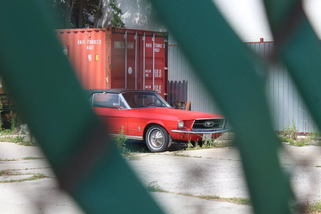 001_Georgia_car obscured by fence.jpeg