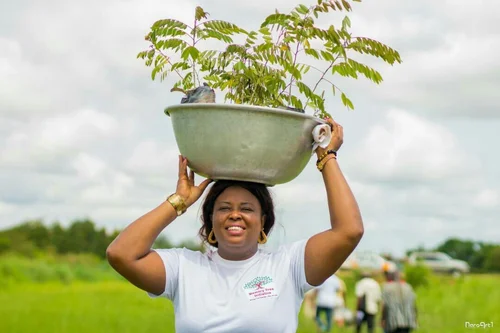 Ghana_Memory_Tree_project_3_1600x.jpg