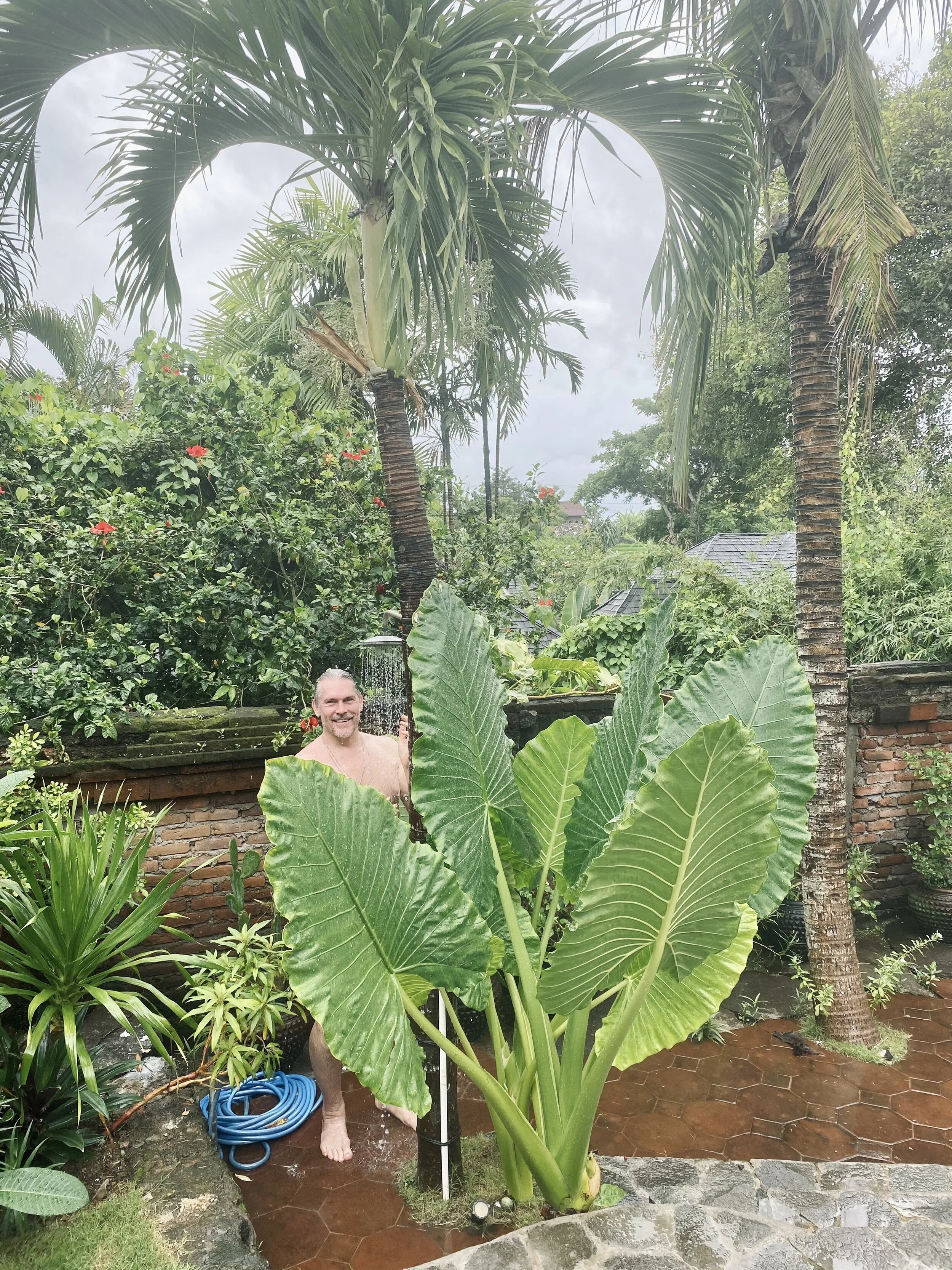 The garden also features a lovely outdoor shower.
