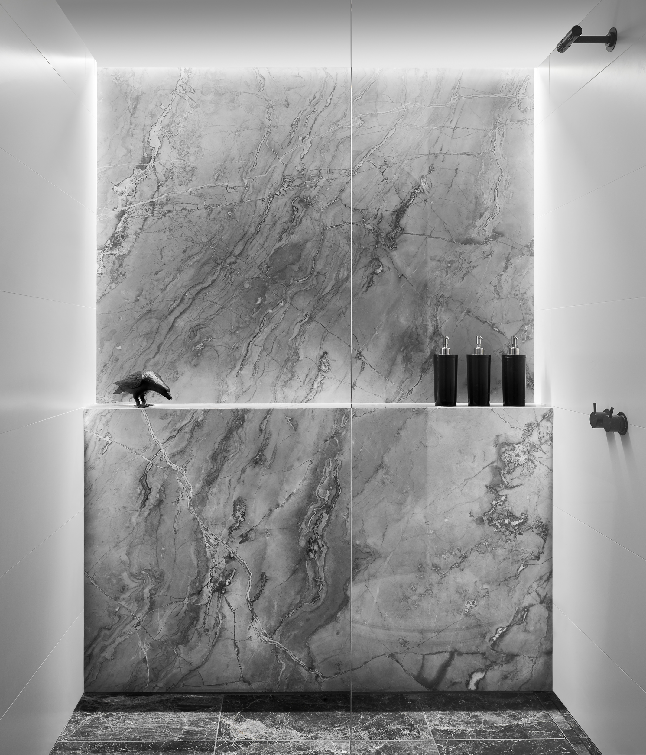 Minimalist shower in a Boston Apartment