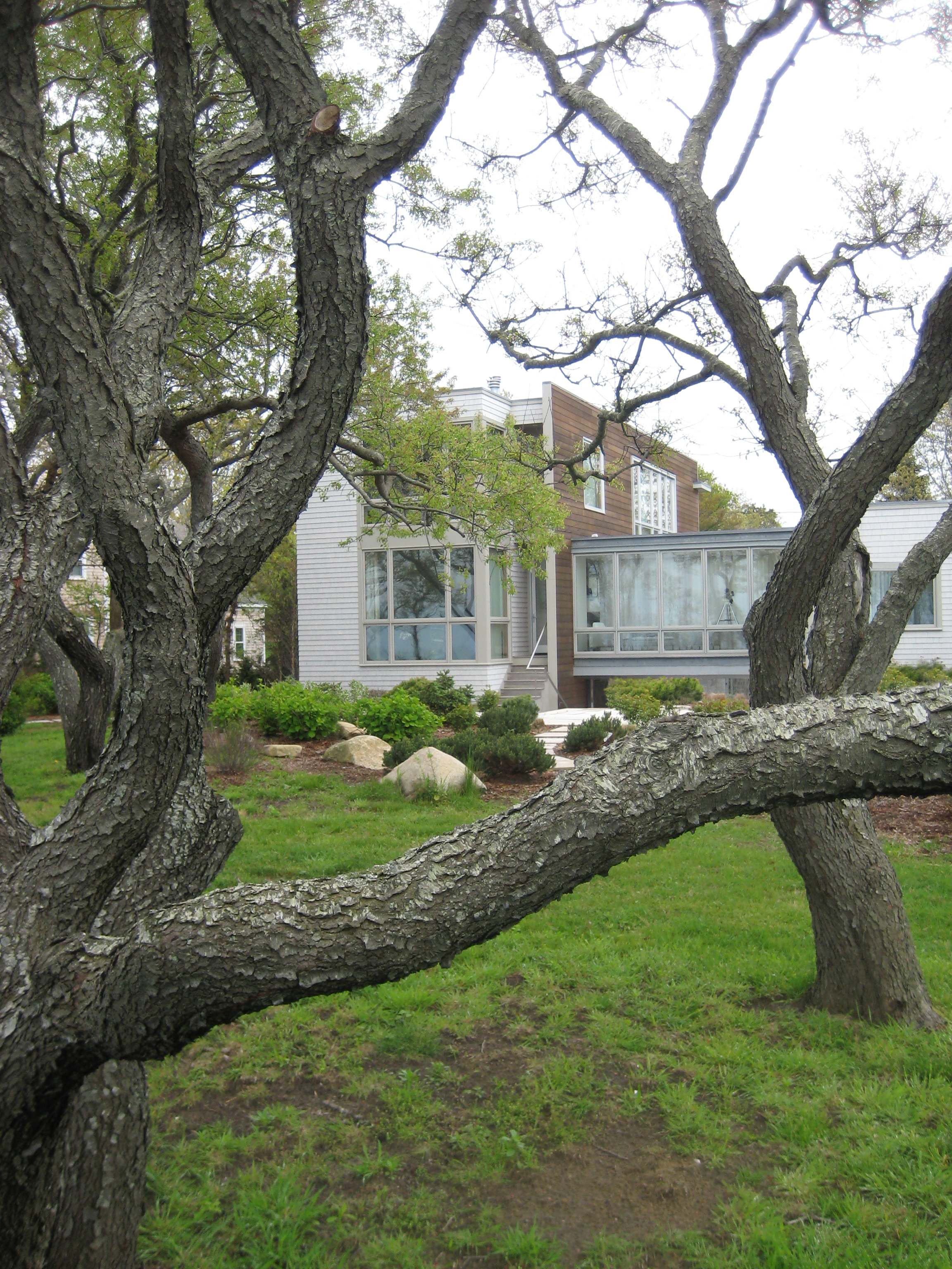 04. Photo - Back 01 - Photoshopped.jpg