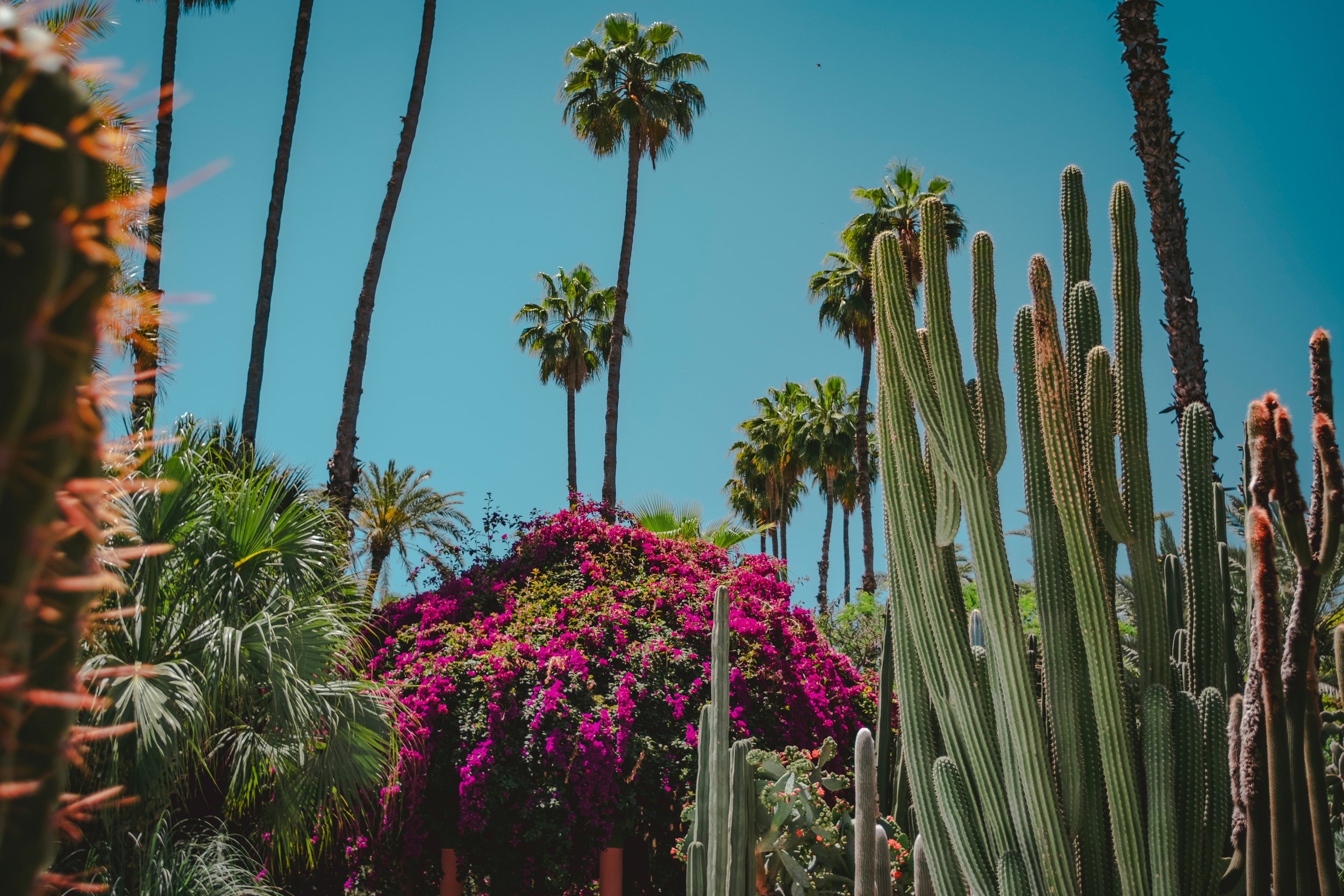 alex-plesovskich-704341-unsplash.jpg