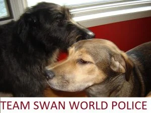 Team-Swan-World-Police-300x225.jpg
