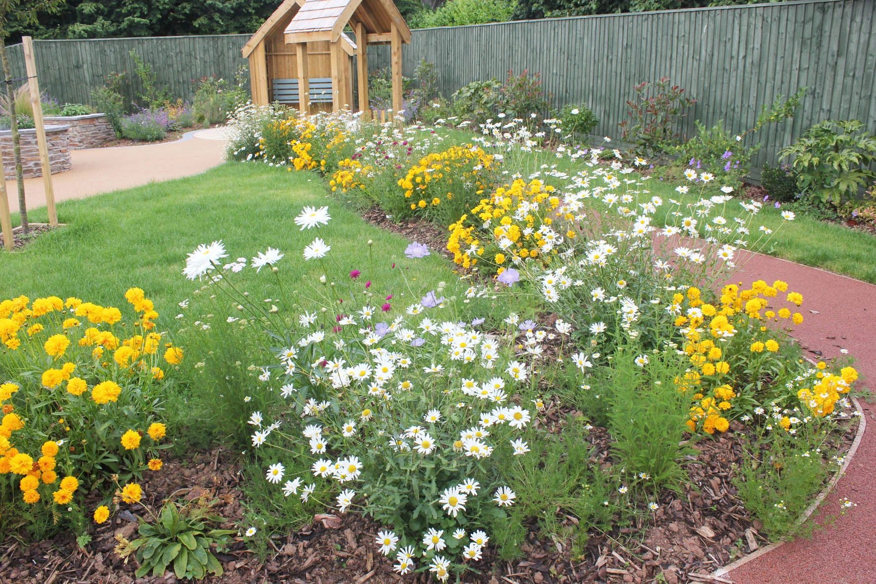 franklin wildflowers.jpg
