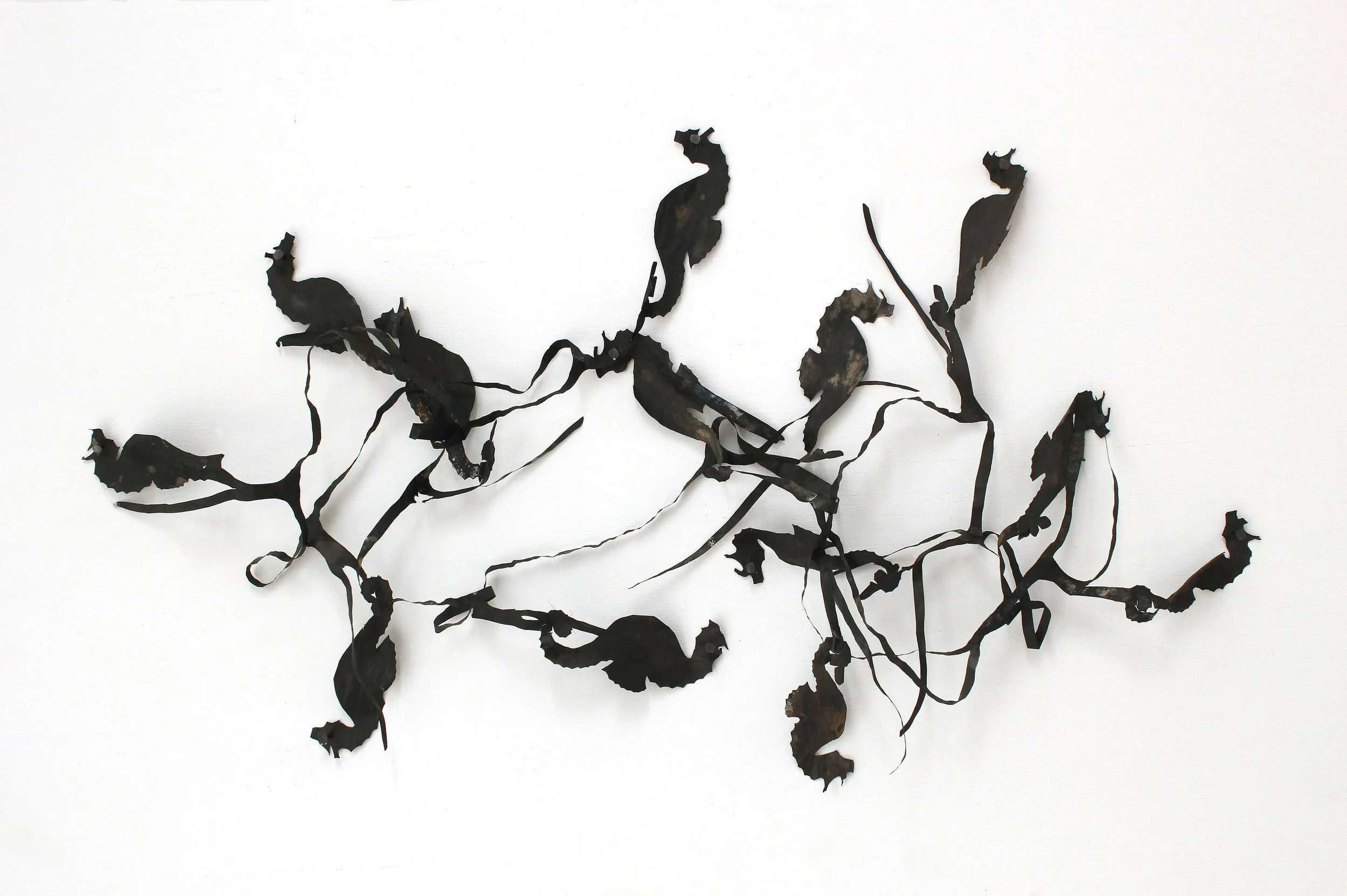 entanglements clear resize.jpg