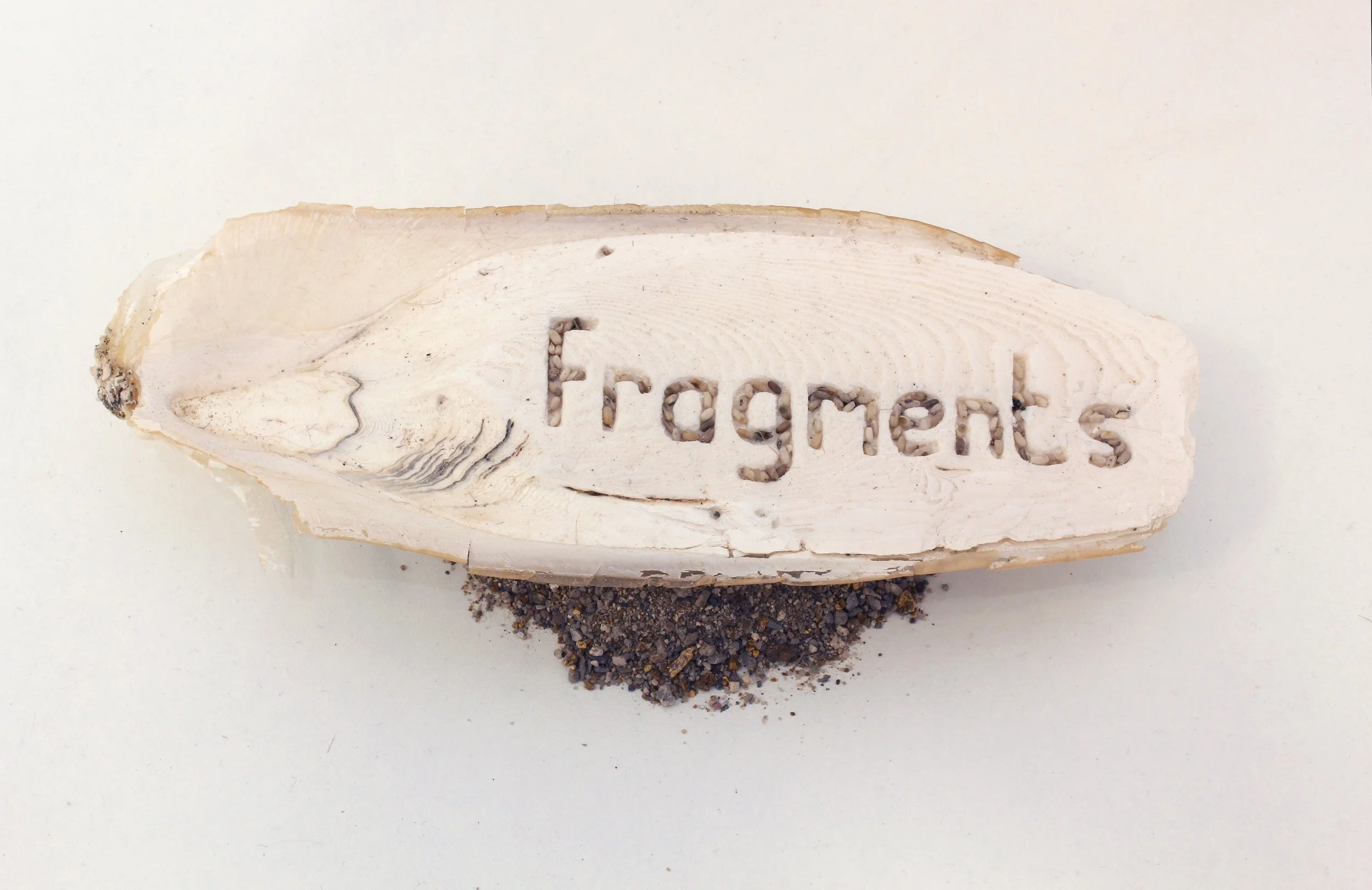 fragments.jpg