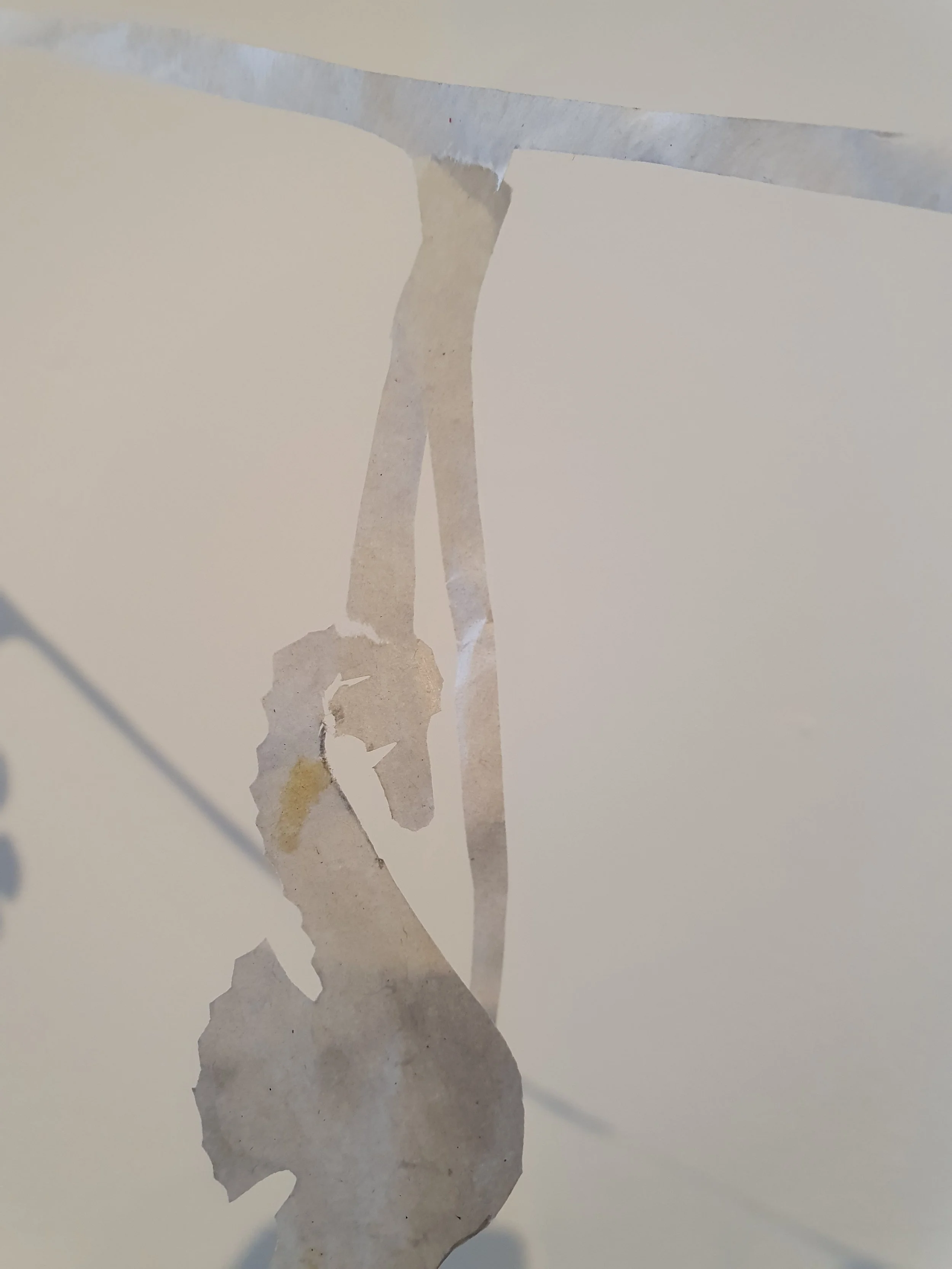 25. clinging on close up.jpg