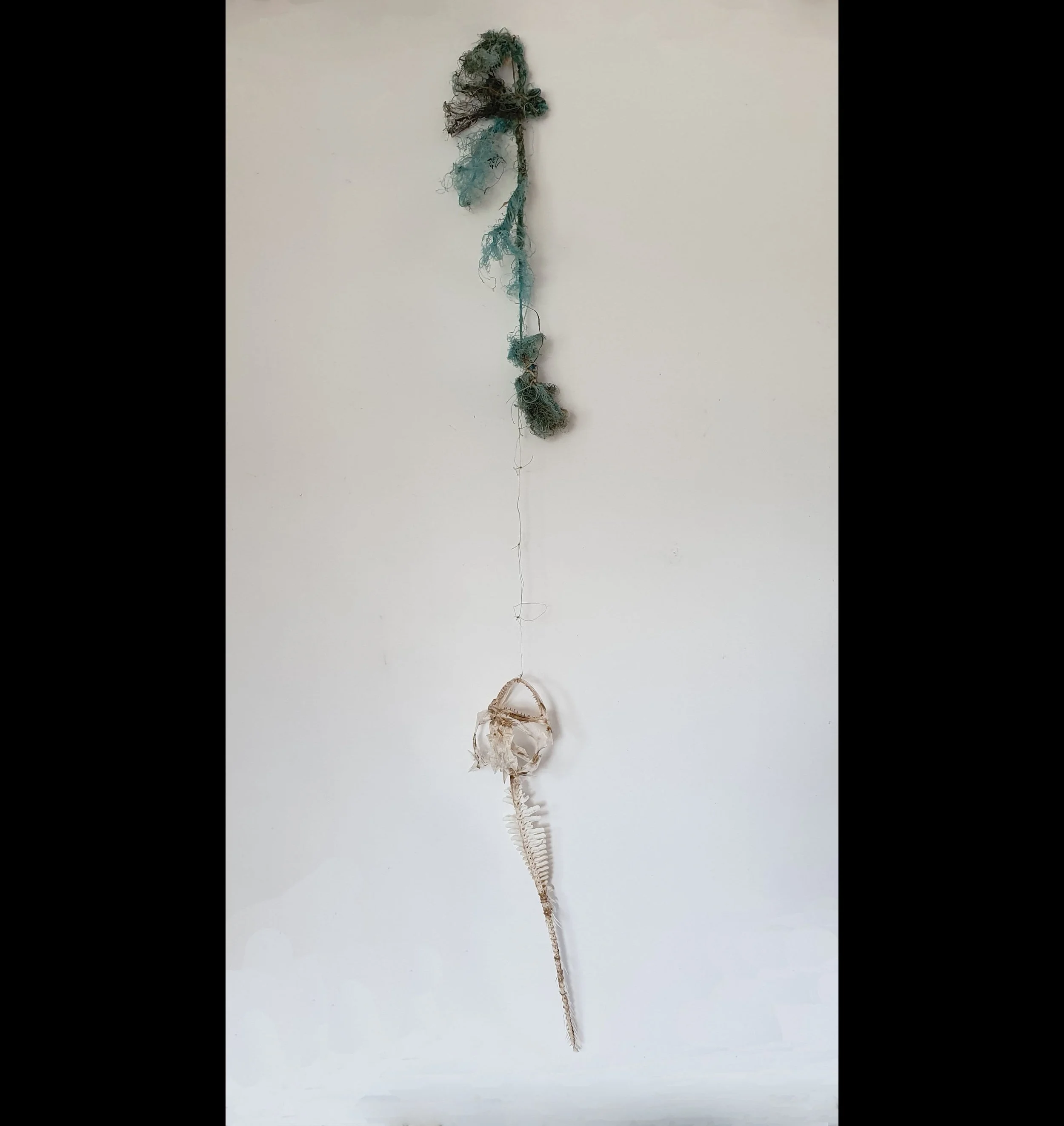 Hanging by a thread
