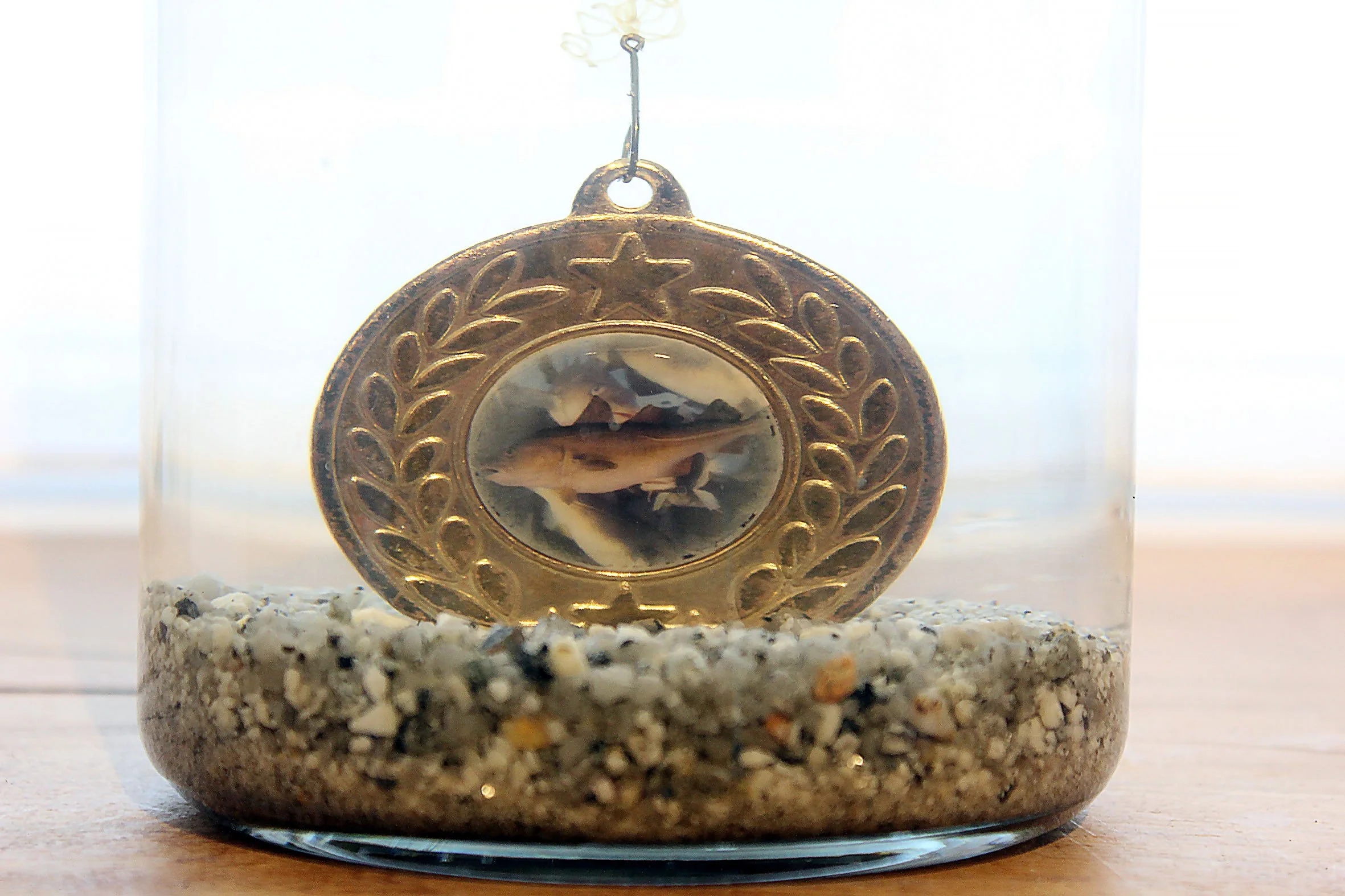 medallion front sharp sm.jpg