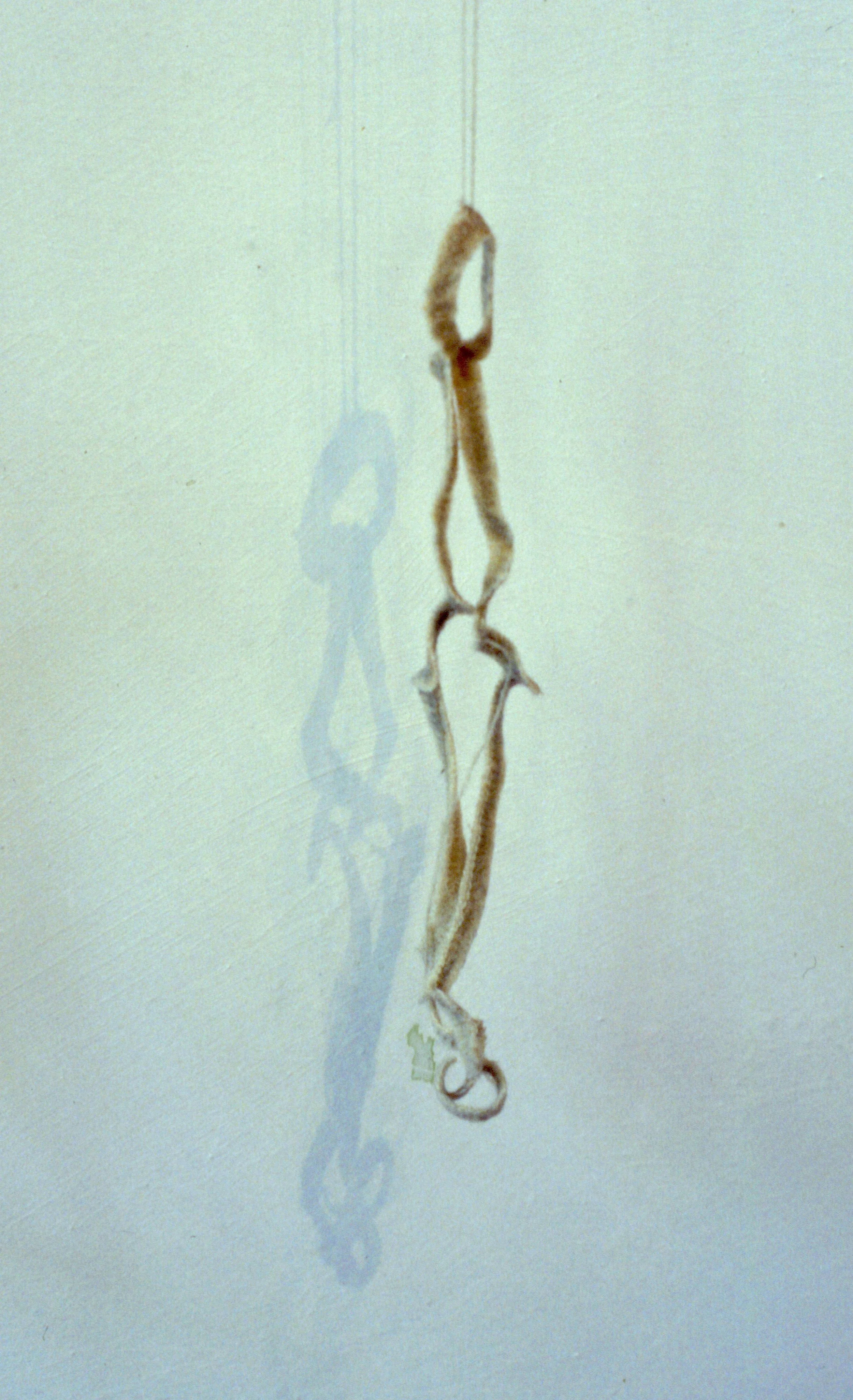 writing on the wall closer.jpeg