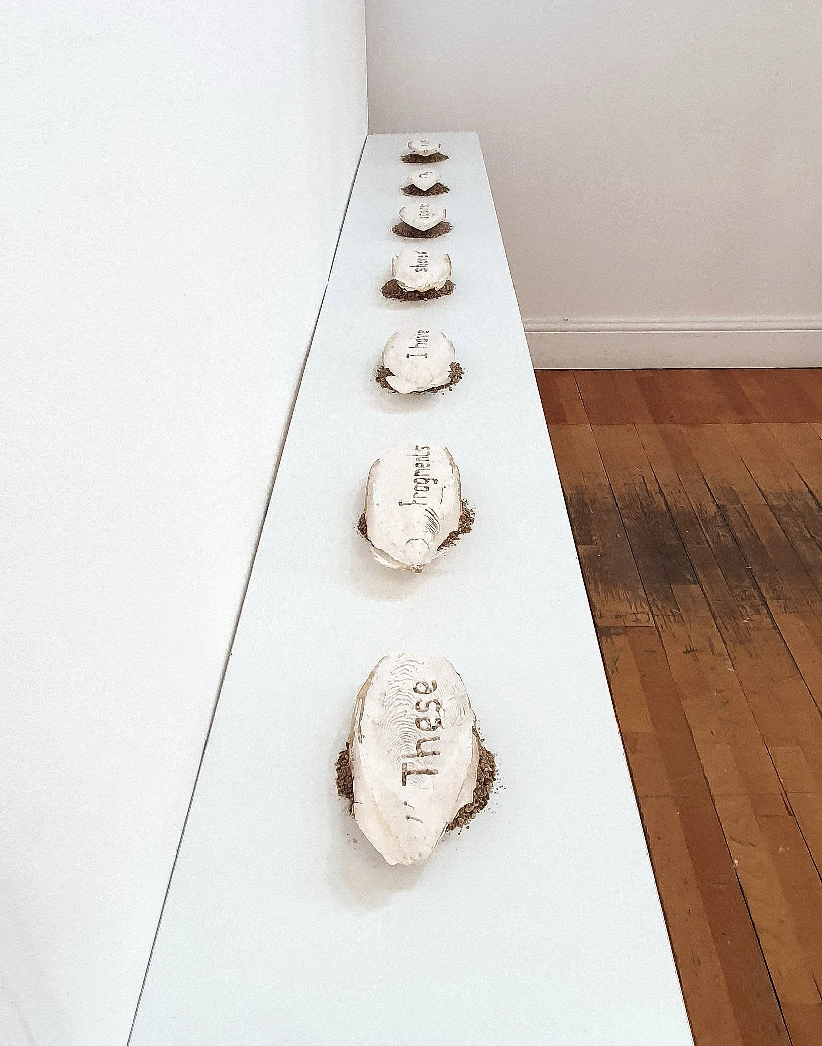 these fragments 2.jpg