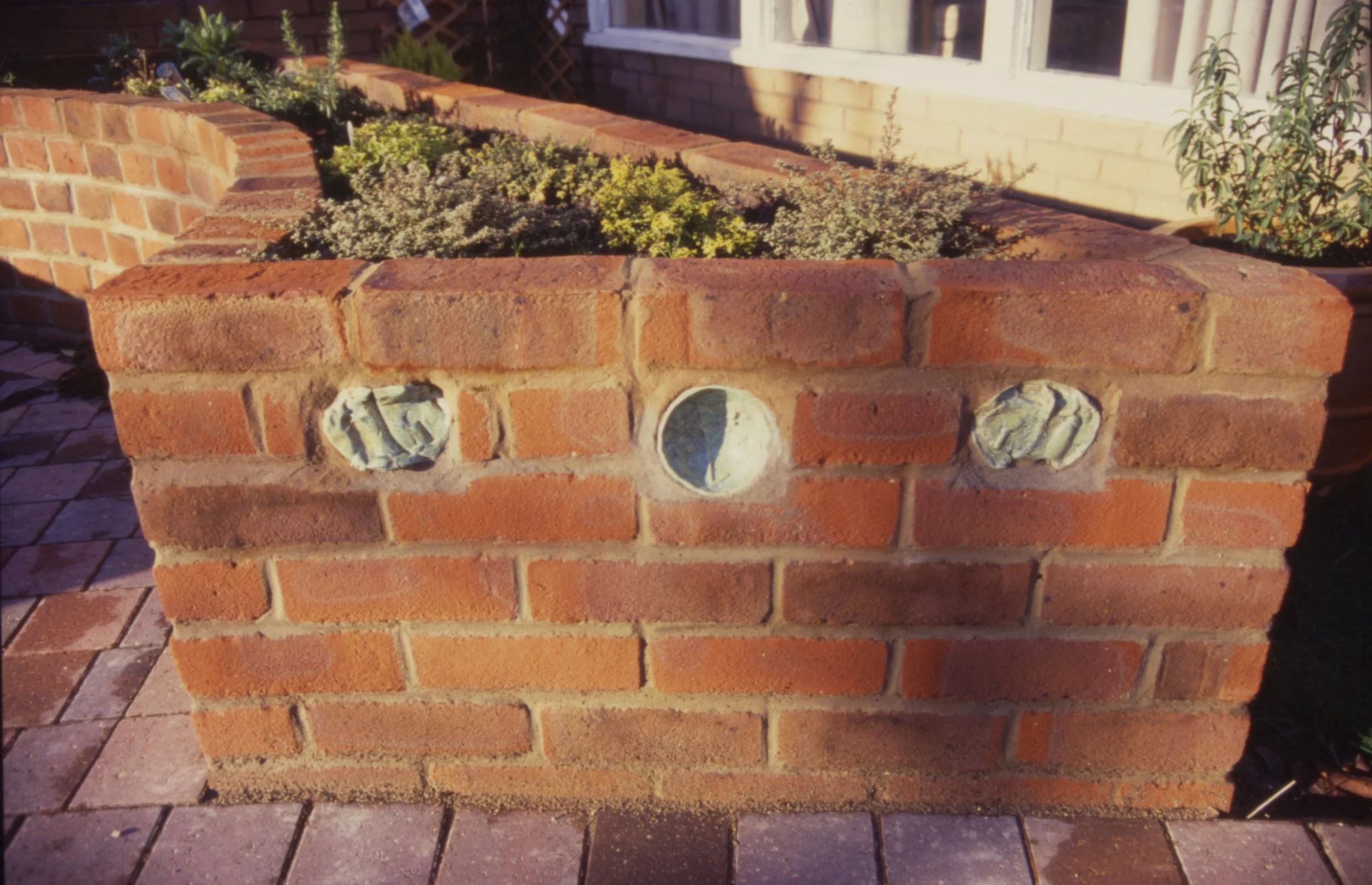 raised bed.jpeg