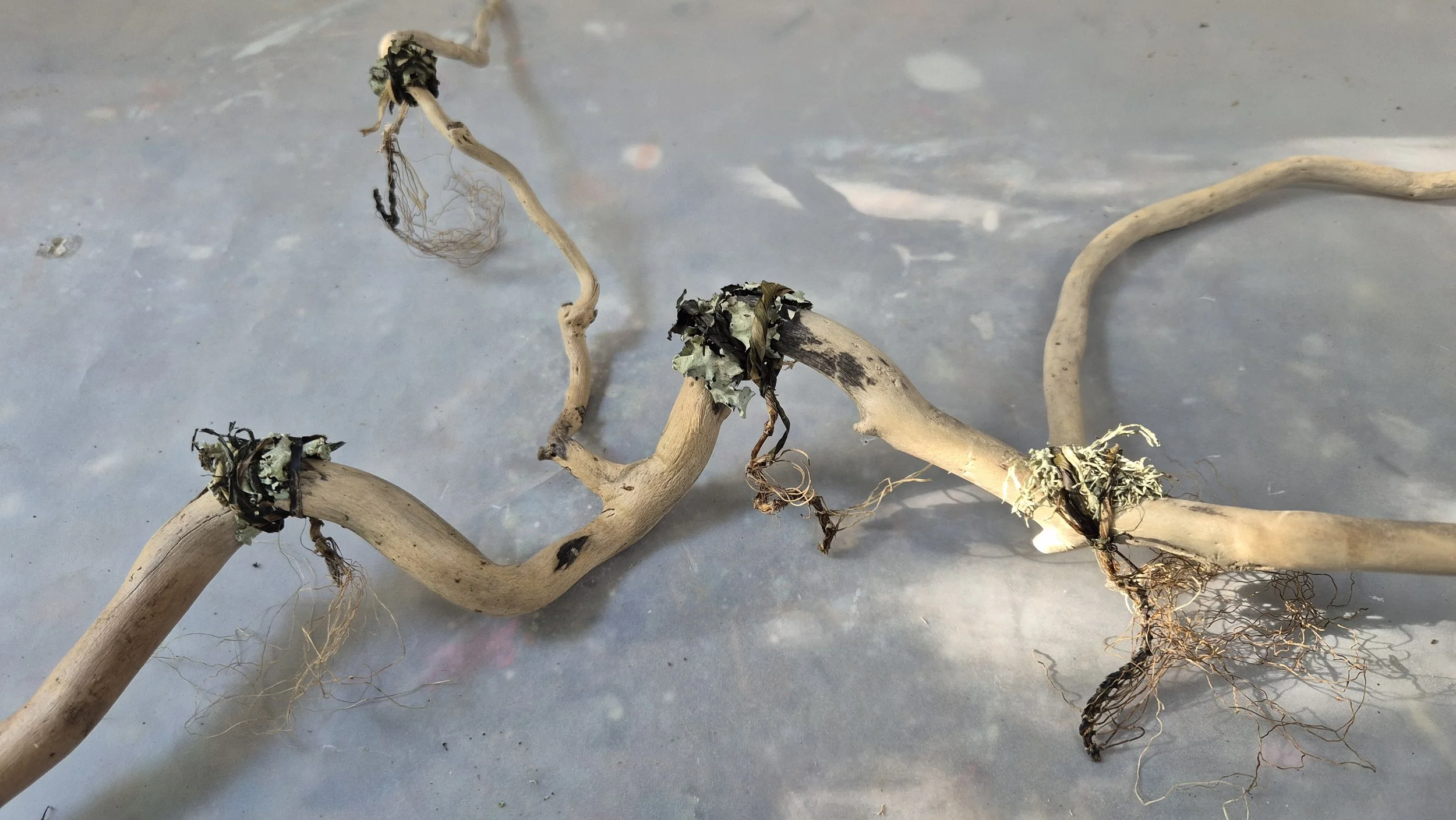 Nodes of connection