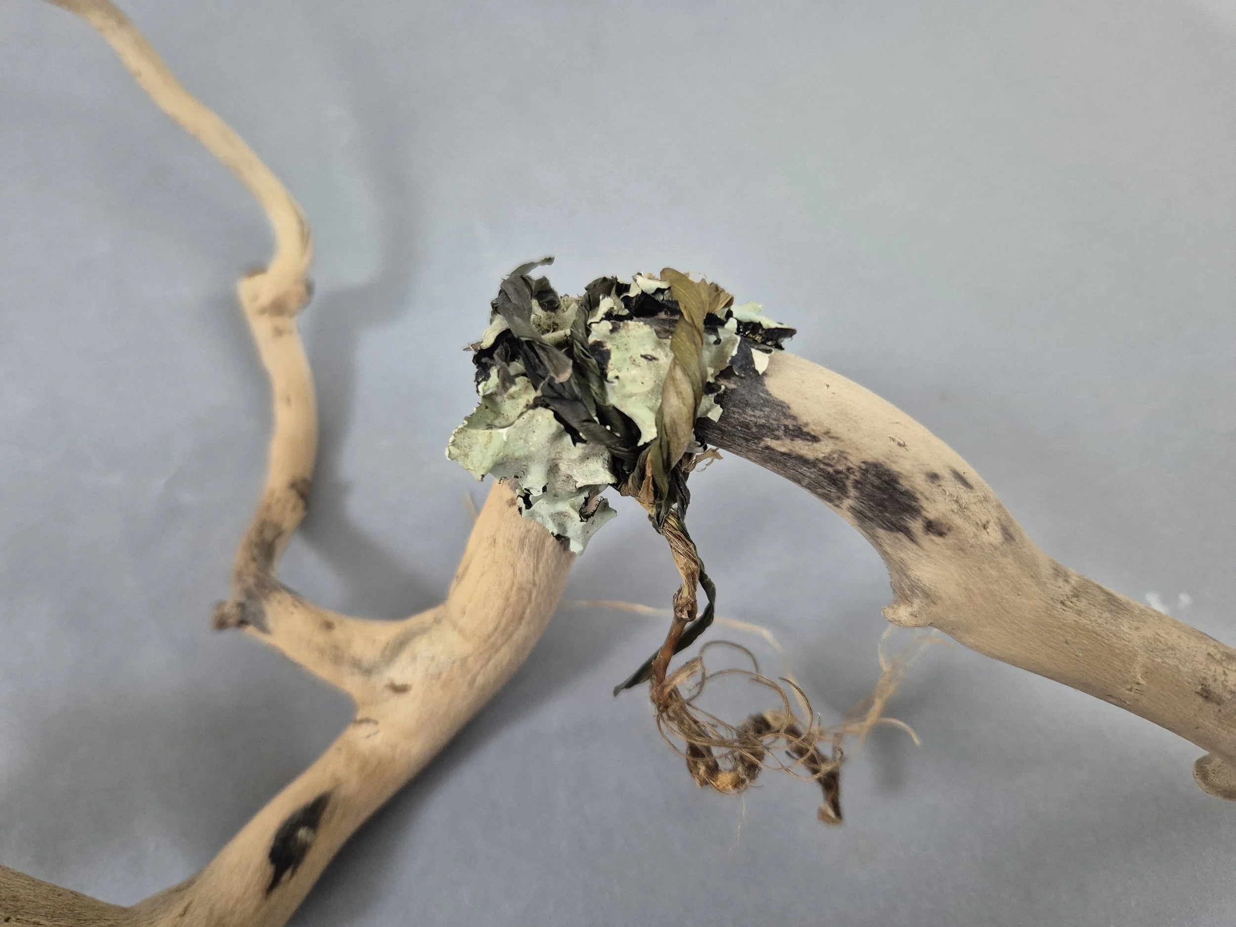 node of connection.jpg