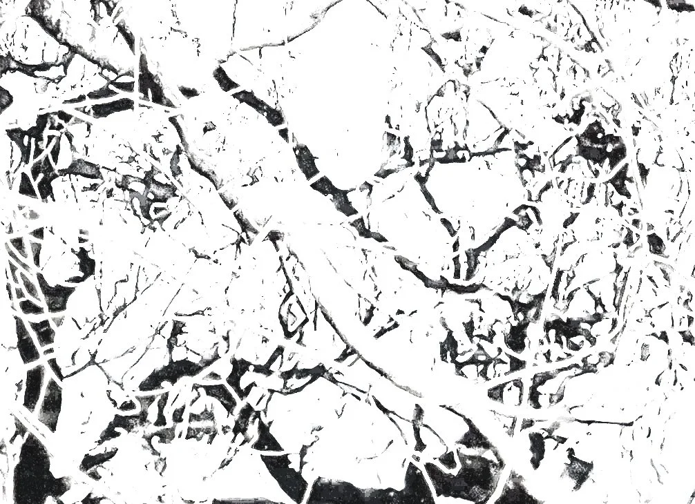 helford shadows.jpg