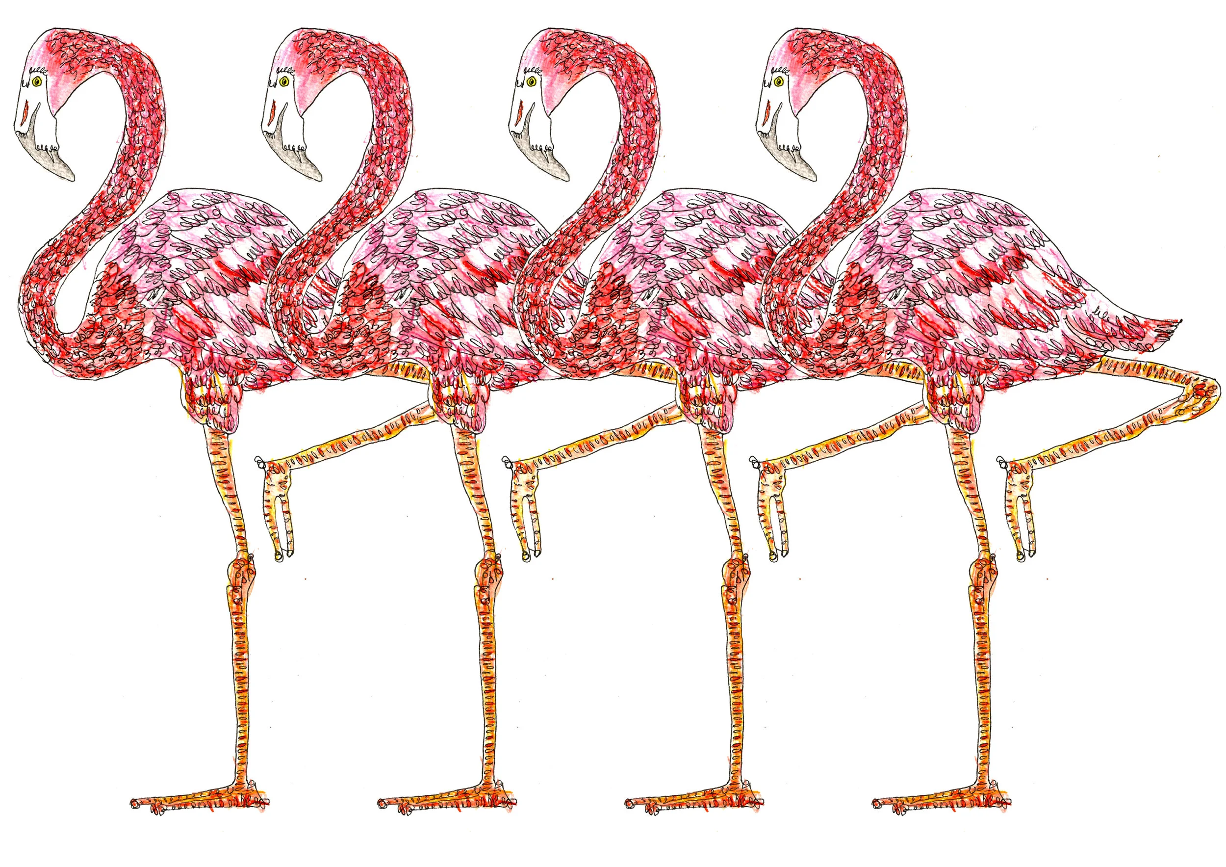 flamingo coloured in a row.jpg