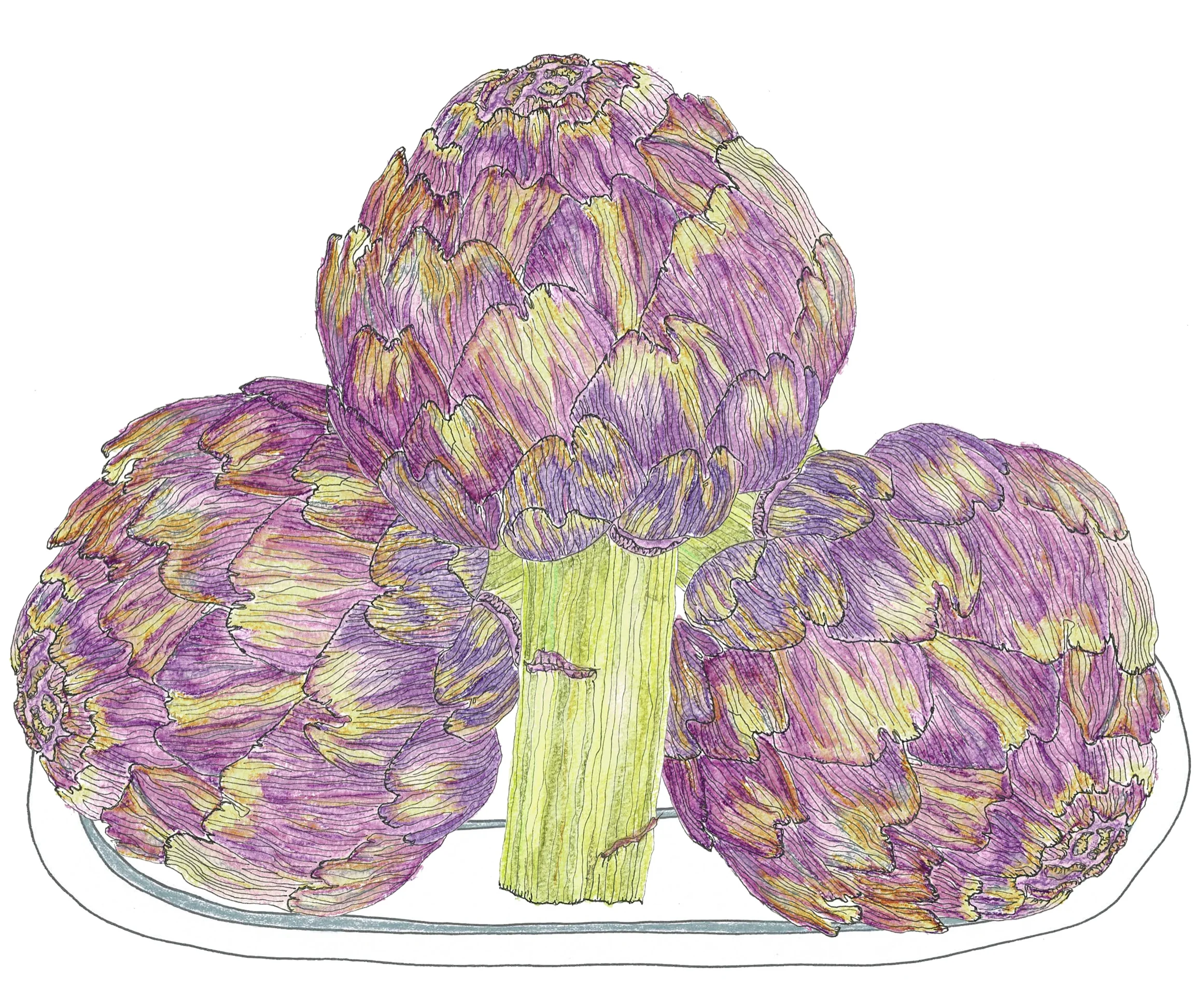 ARTICHOKE.jpg