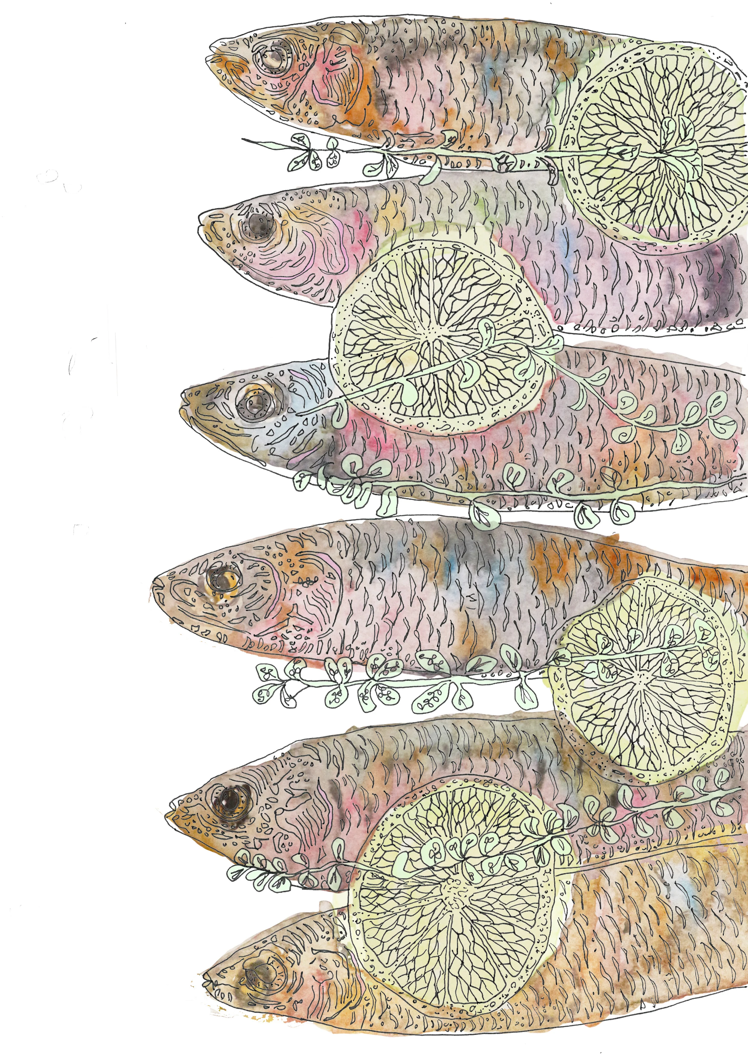 fish and limes final.jpg