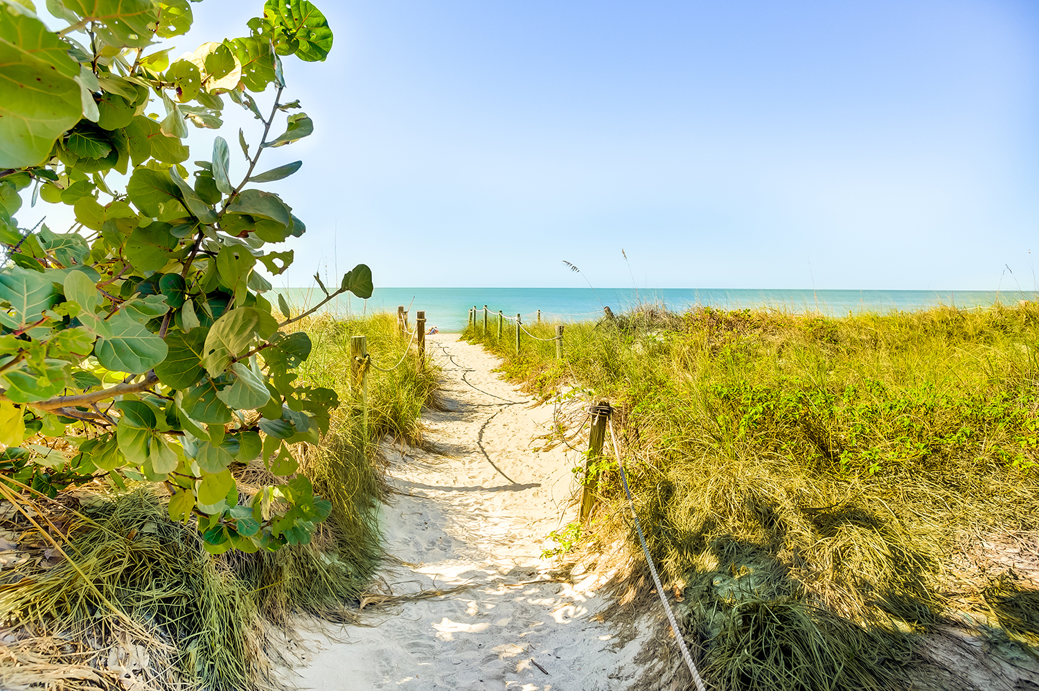 Beach Walk.jpg