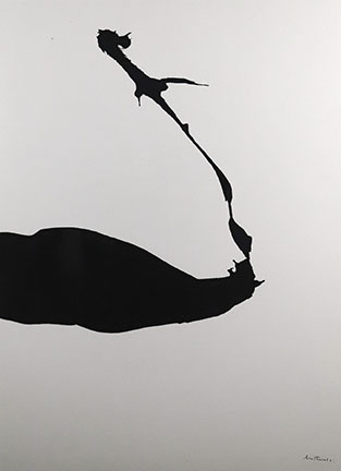Robert Motherwell