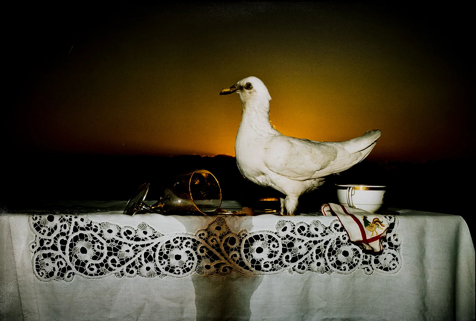 Barbara Norfleet